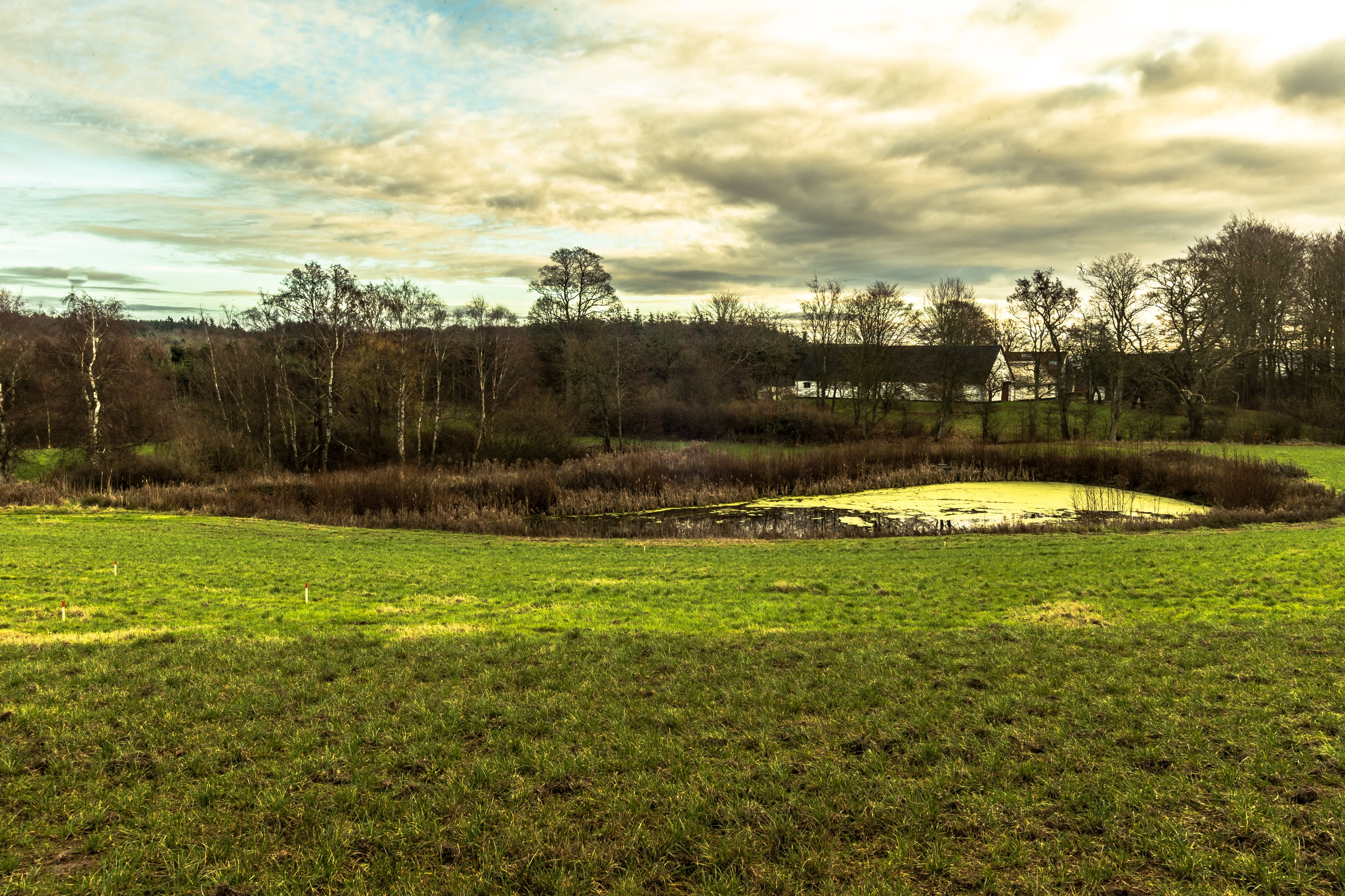 Fremhævet andet billede i fuldskærmstilstand. Billede af Mølbjerget 10, Rodskov, 8543 Hornslet