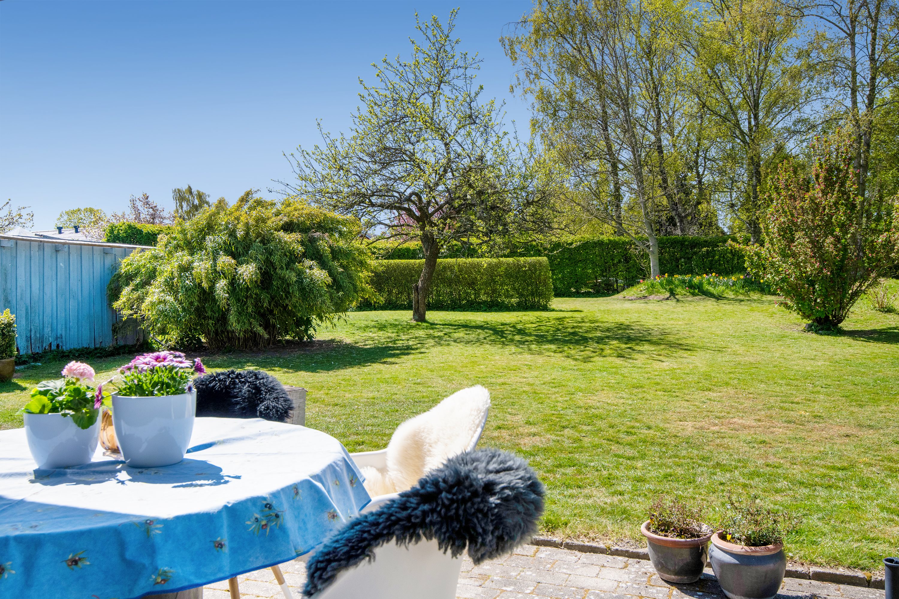 Fremhævet have billede i fuldskærmstilstand. Billede af Langersvej 15, Indre Hasseris, 9000 Aalborg