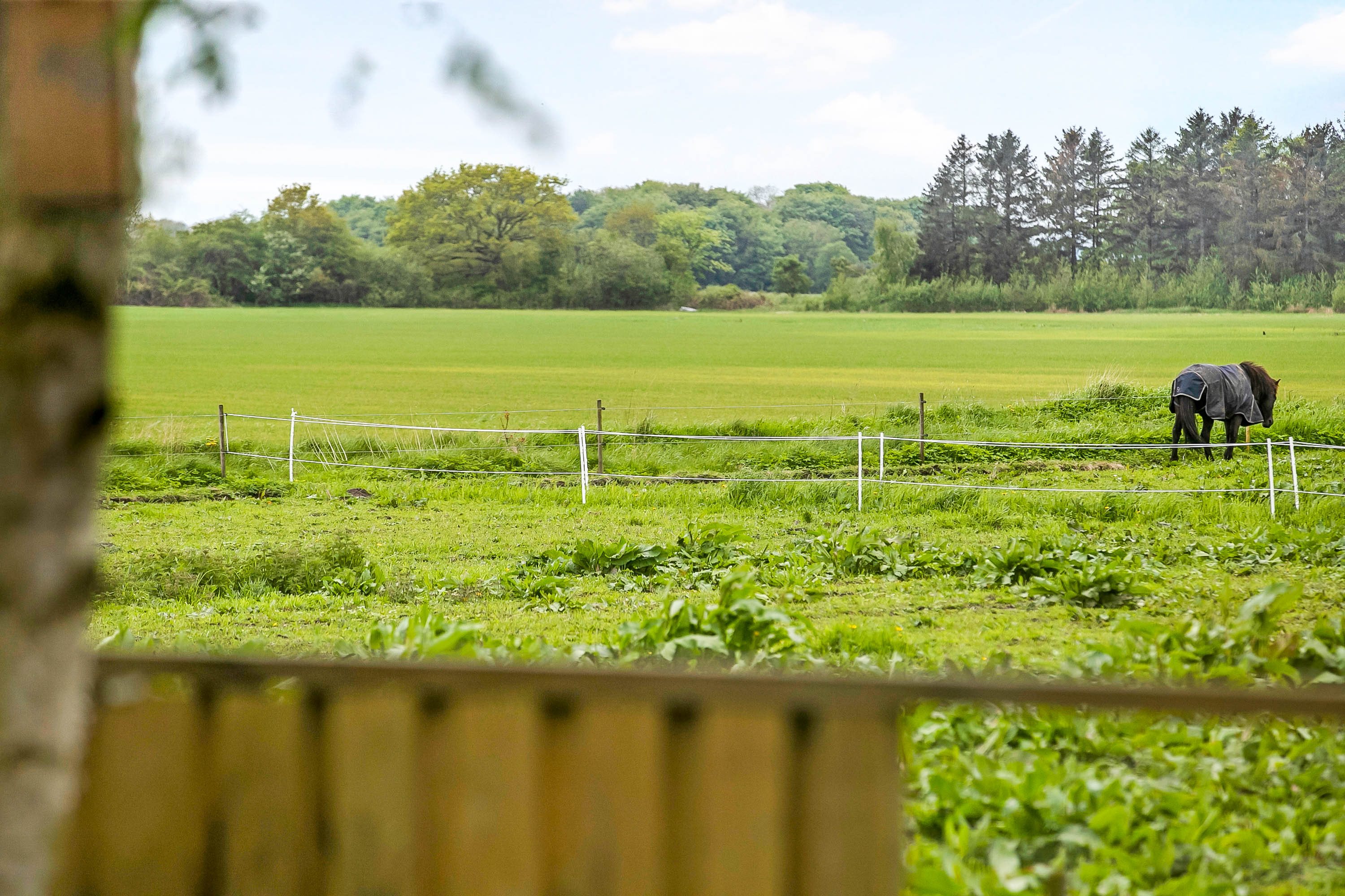Fremhævet udsigt billede i fuldskærmstilstand. Billede af Aalborgvej 301, 9362 Gandrup