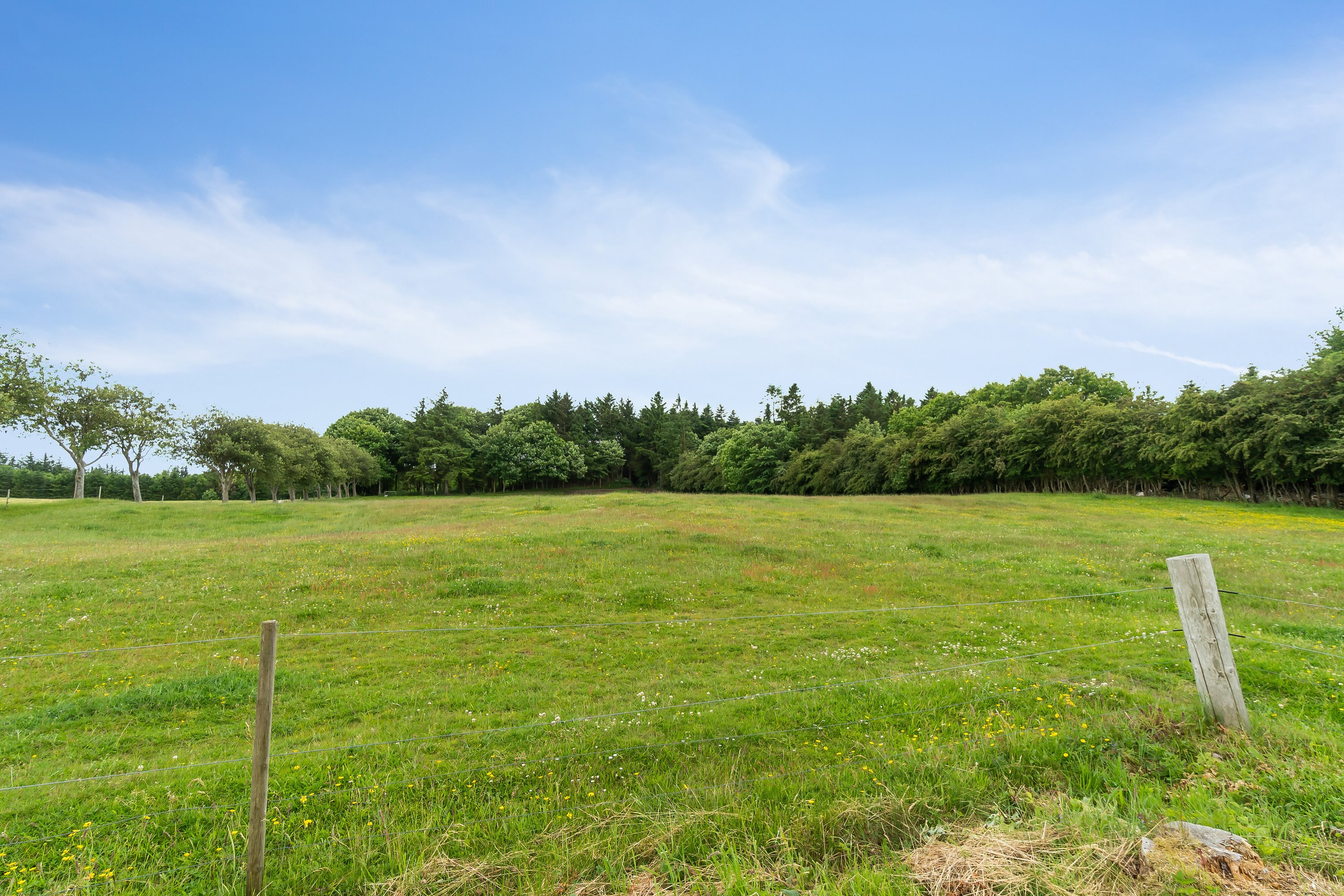 Fremhævet  billede i fuldskærmstilstand. Billede af Vestervigvej 190, 7752 Snedsted