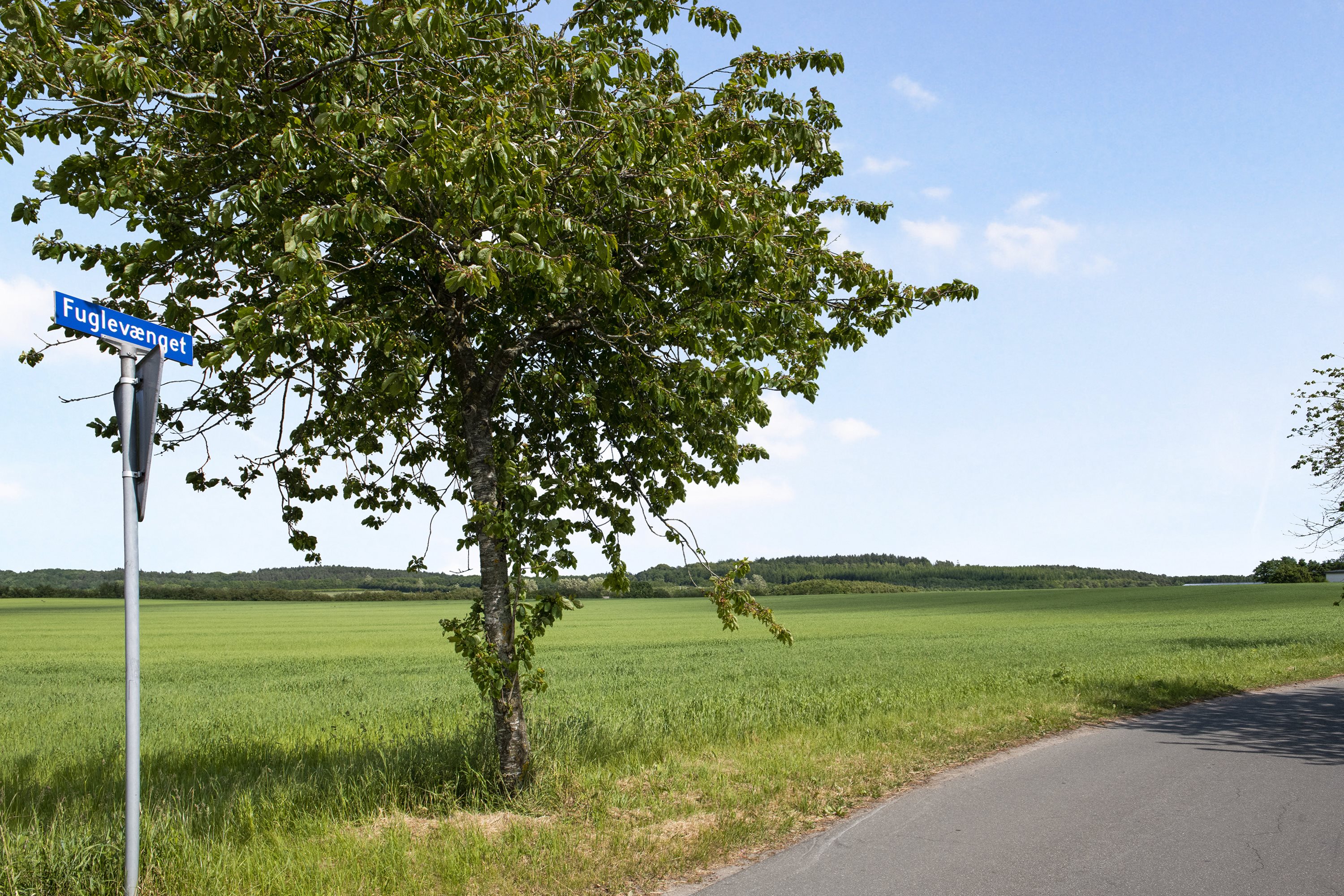 Fremhævet andet billede i fuldskærmstilstand. Billede af Valmuen 1, 9575 Terndrup