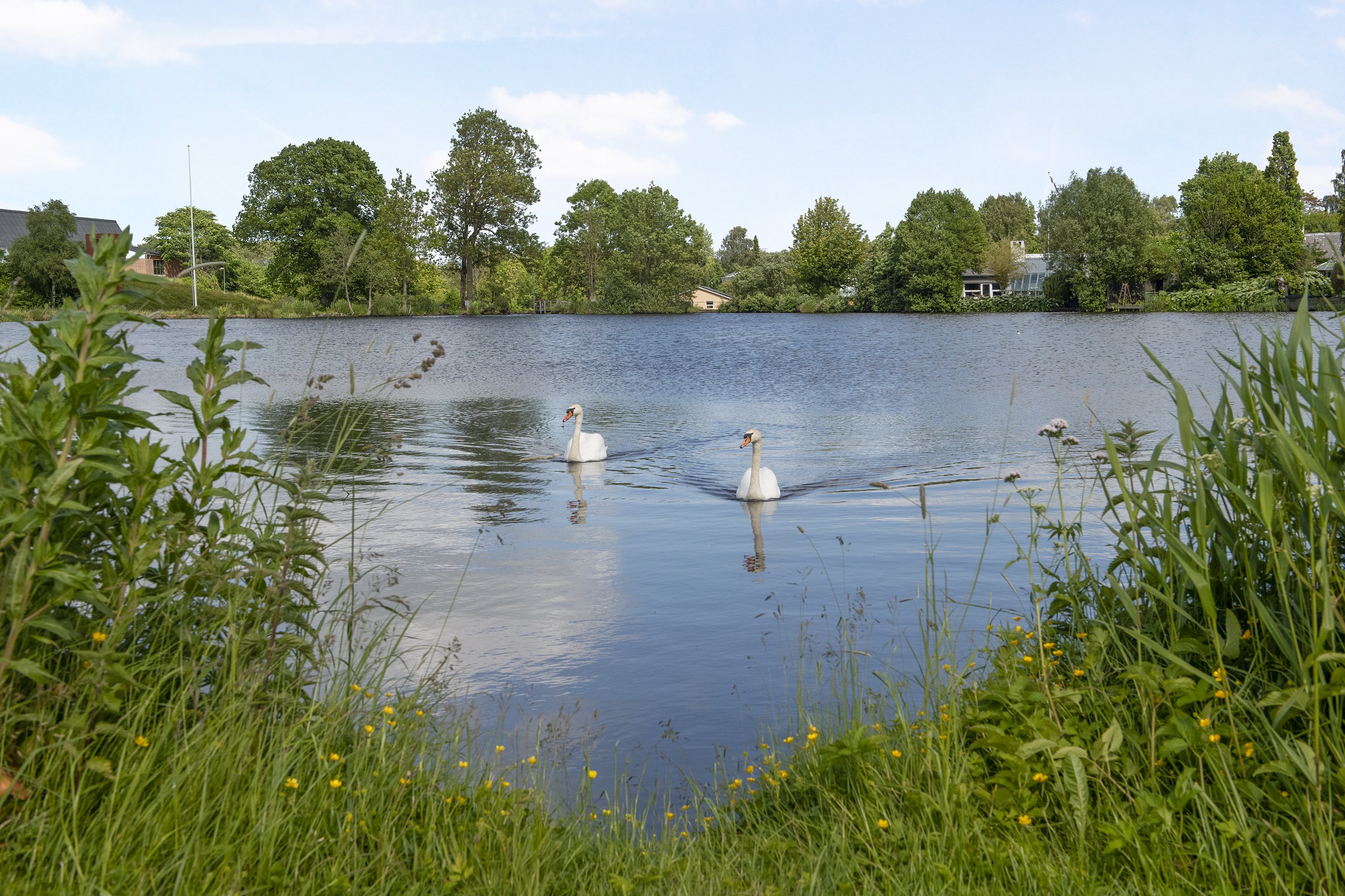 Fremhævet andet billede i fuldskærmstilstand. Billede af Valmuen 1, 9575 Terndrup