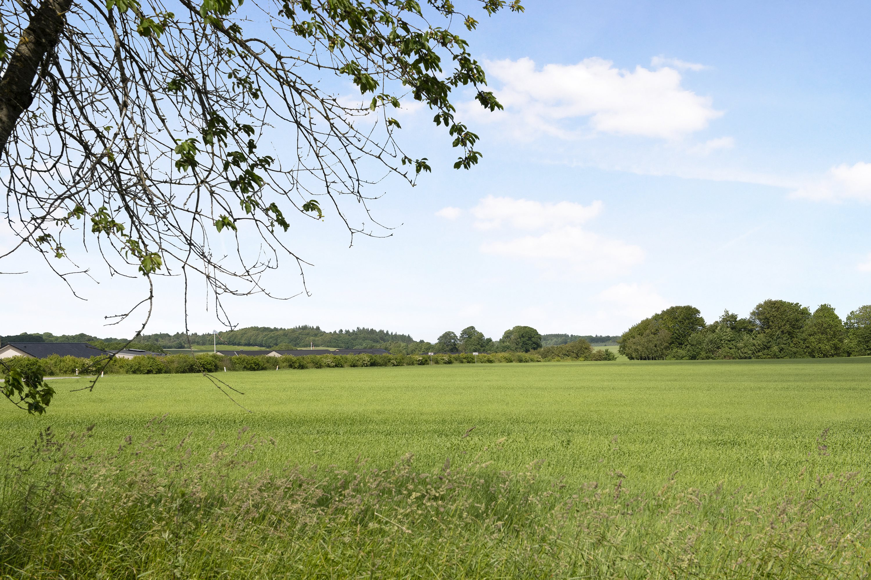 Fremhævet andet billede i fuldskærmstilstand. Billede af Valmuen 1, 9575 Terndrup