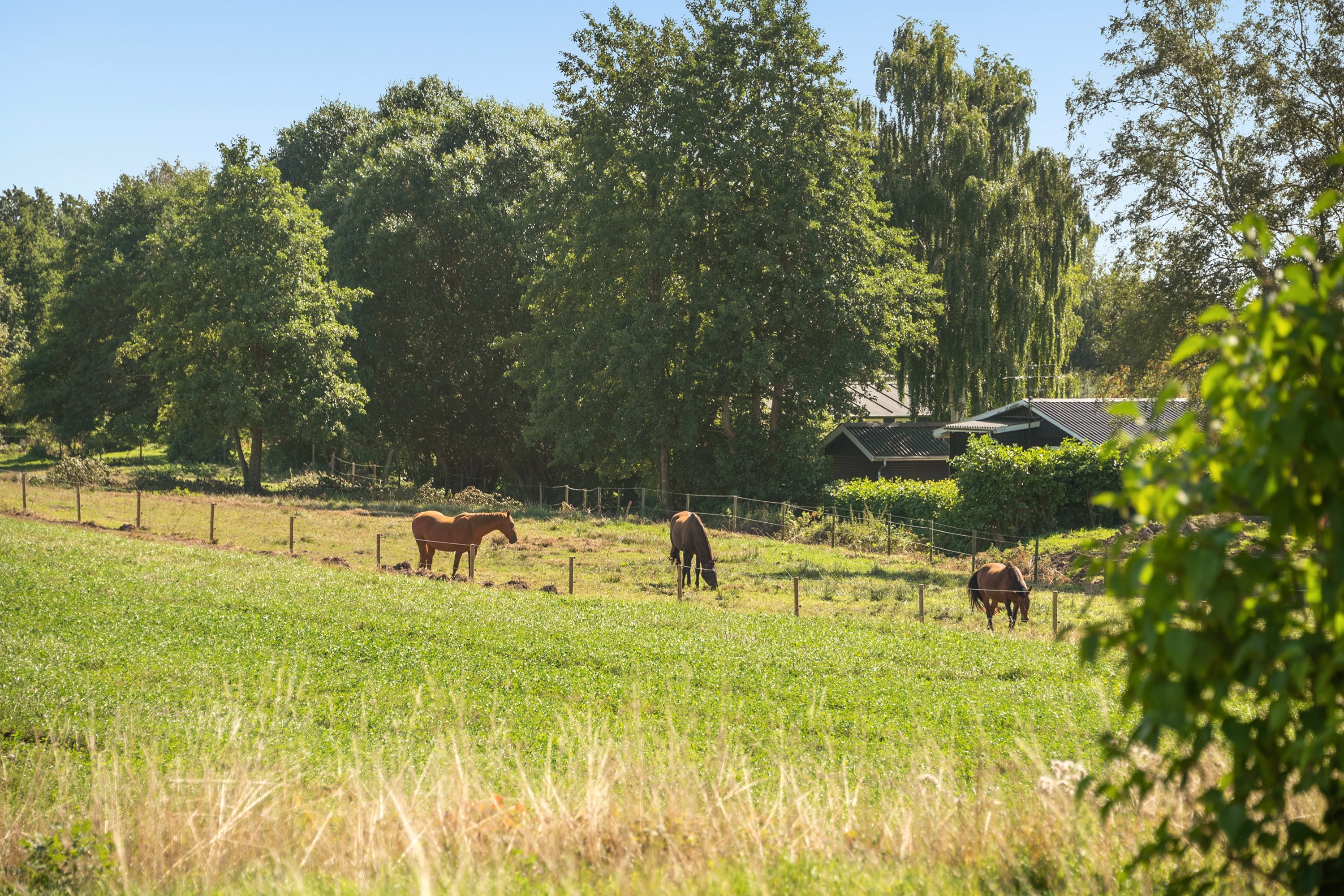 Fremhævet andet billede i fuldskærmstilstand. Billede af Skovhøjen 12, Hejsager Strandblik - Grund 6, 6100 Haderslev, 6100 Haderslev