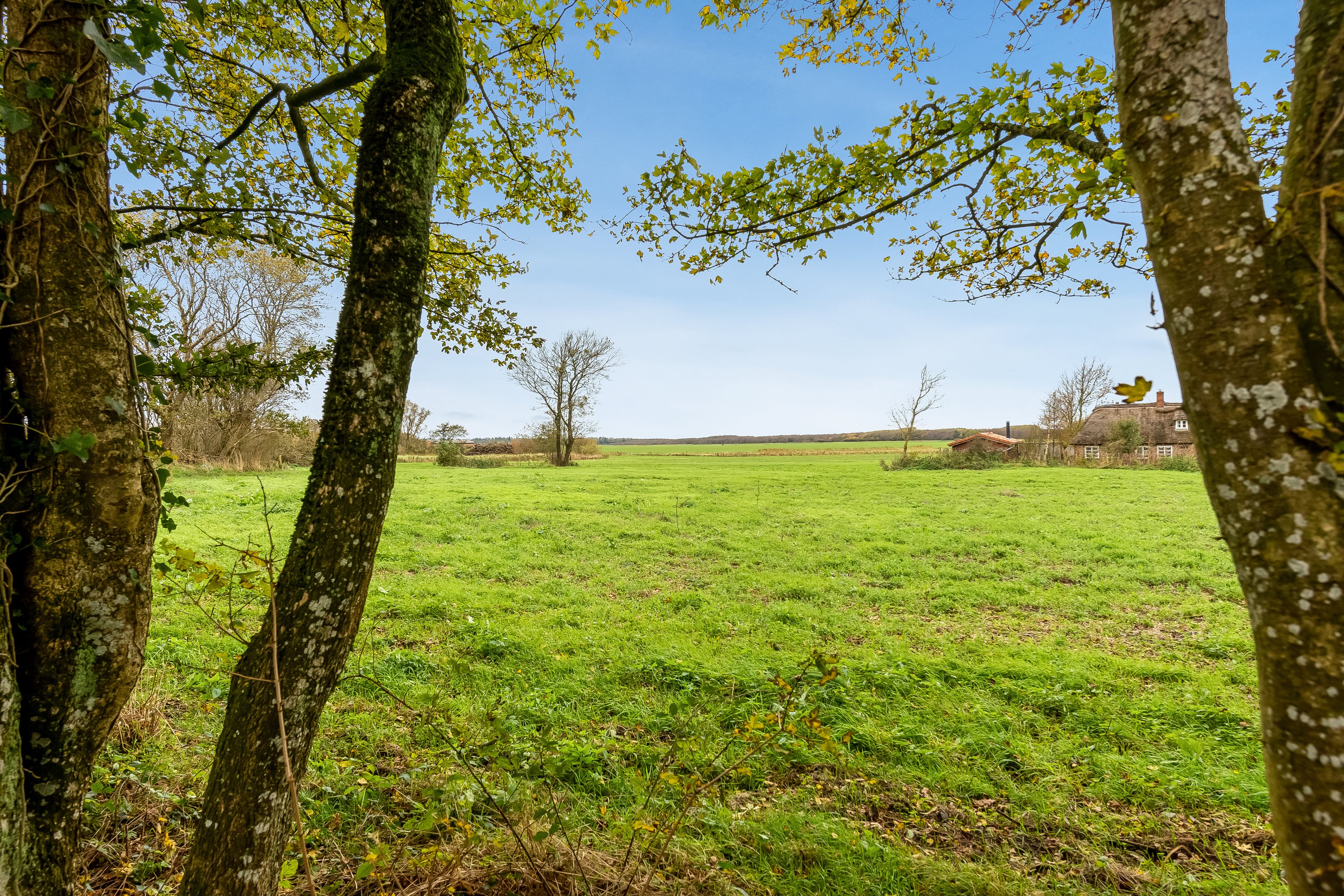 Fremhævet udsigt billede i fuldskærmstilstand. Billede af Kogsbølvej 5, Nr. Sejerslev, 6280 Højer