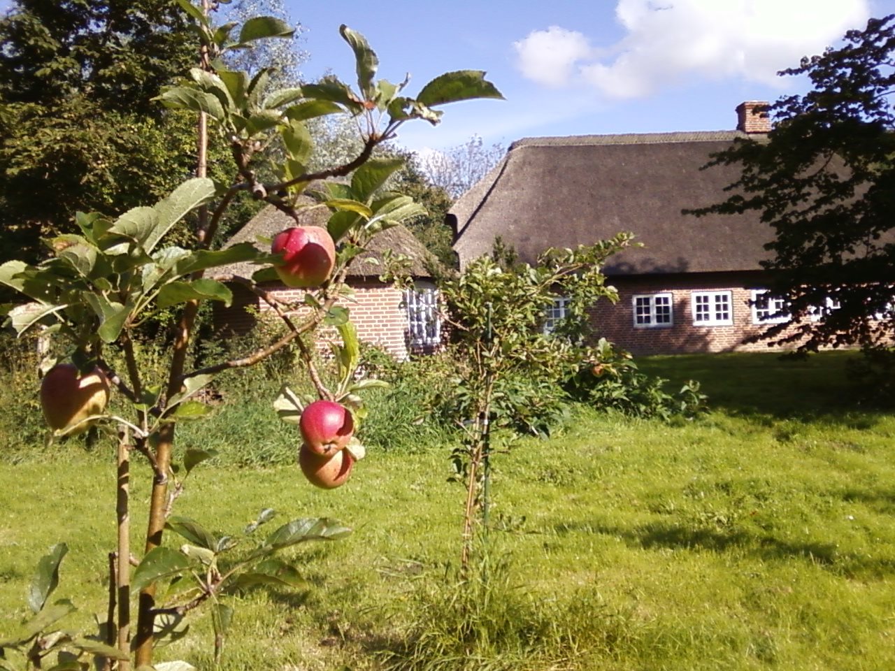 Fremhævet andet billede i fuldskærmstilstand. Billede af Kogsbølvej 5, Nr. Sejerslev, 6280 Højer