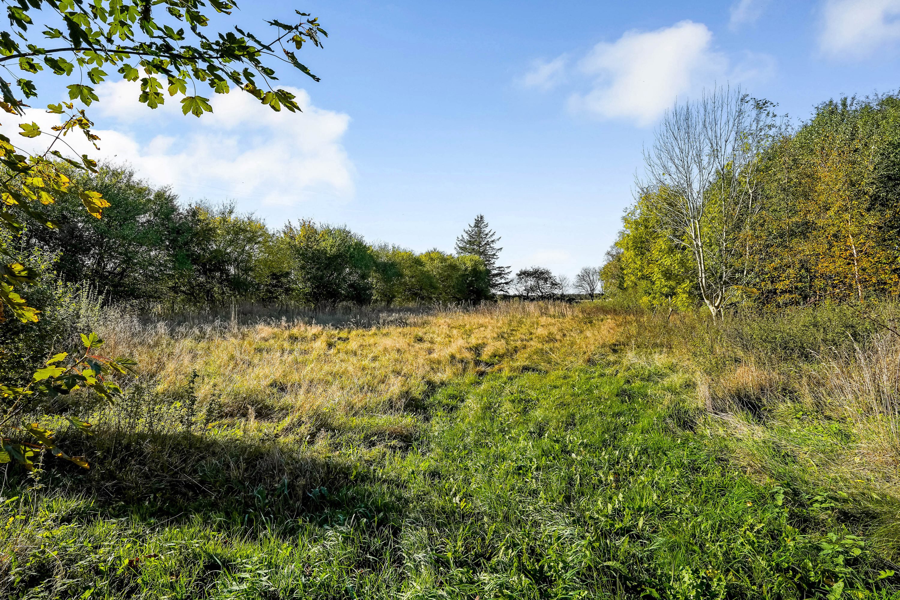 Fremhævet grund billede i fuldskærmstilstand. Billede af Glejbjergvej 18, Rebelsig, 6740 Bramming