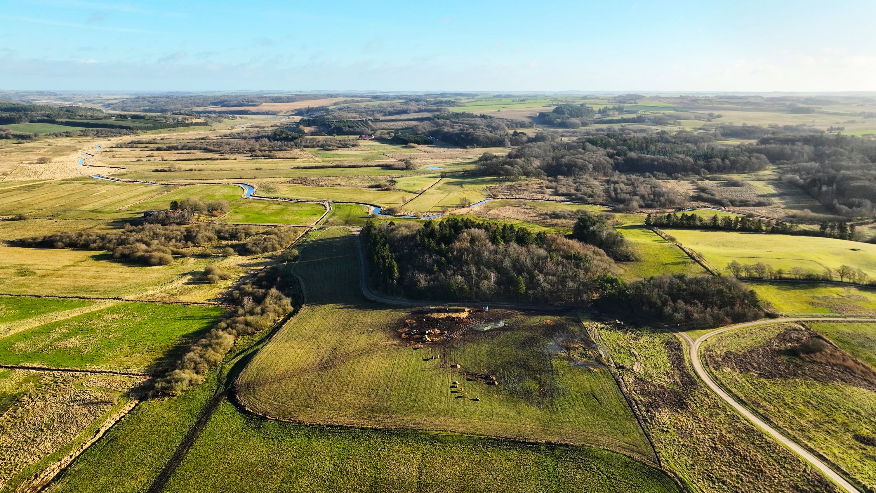 Fremhævet andet billede i fuldskærmstilstand. Billede af Ræven 66, 9530 Støvring