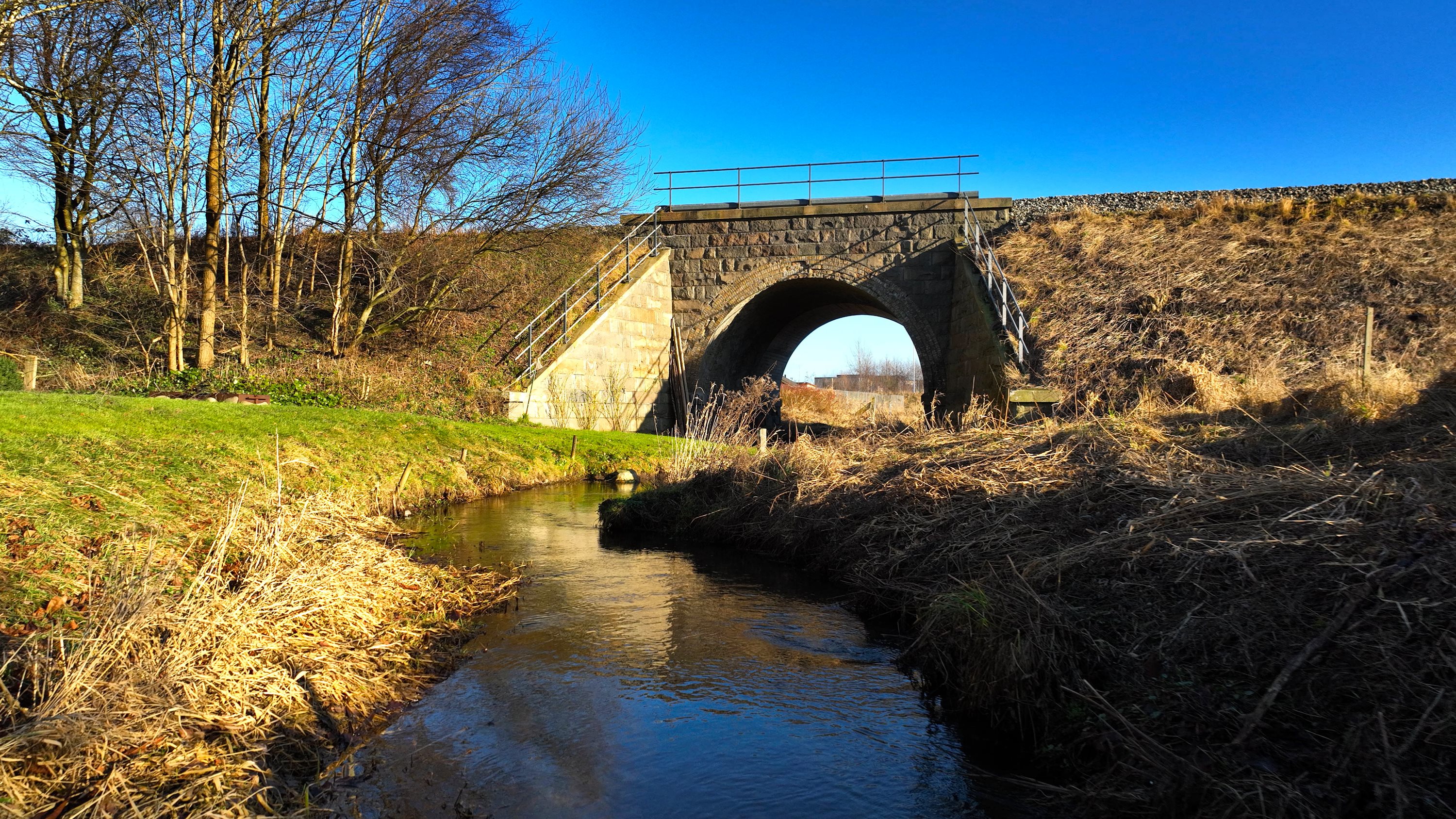Fremhævet andet billede i fuldskærmstilstand. Billede af Ræven 68, 9530 Støvring