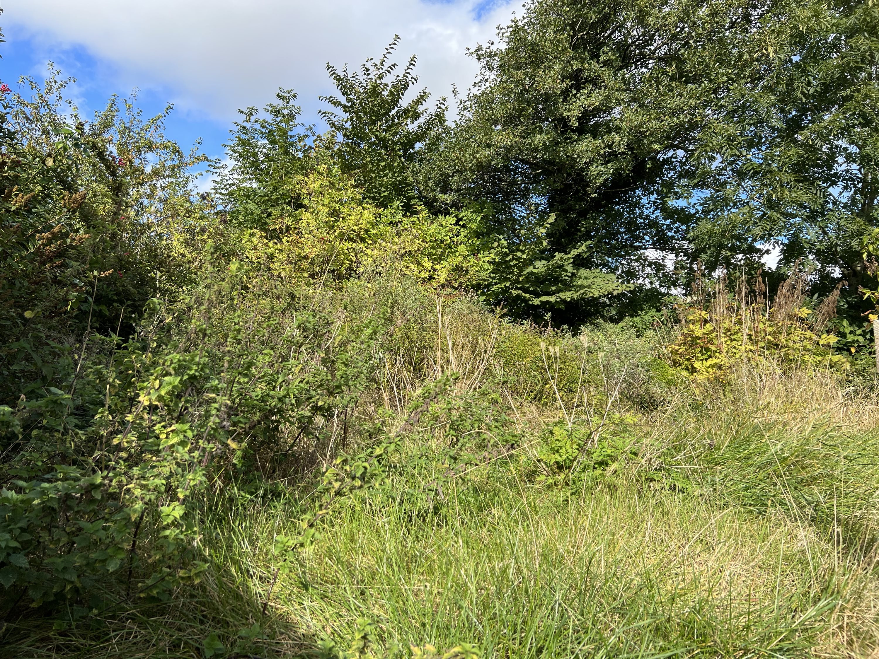 Fremhævet  billede i fuldskærmstilstand. Billede af Landevejen 27, Heltborg, 7760 Hurup Thy