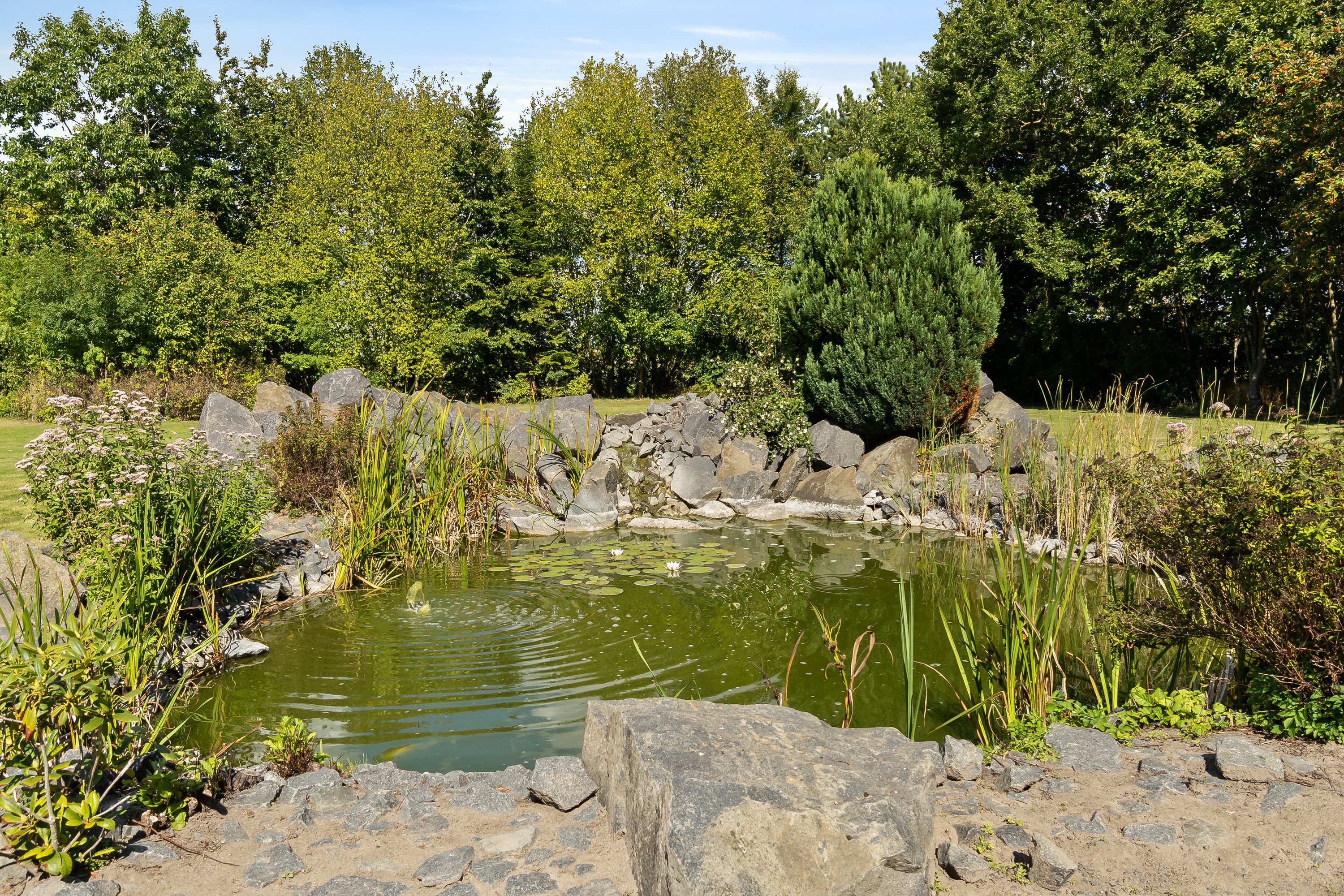 Fremhævet have billede i fuldskærmstilstand. Billede af Ærtebjergvej 19, Tjæreby, 4230 Skælskør