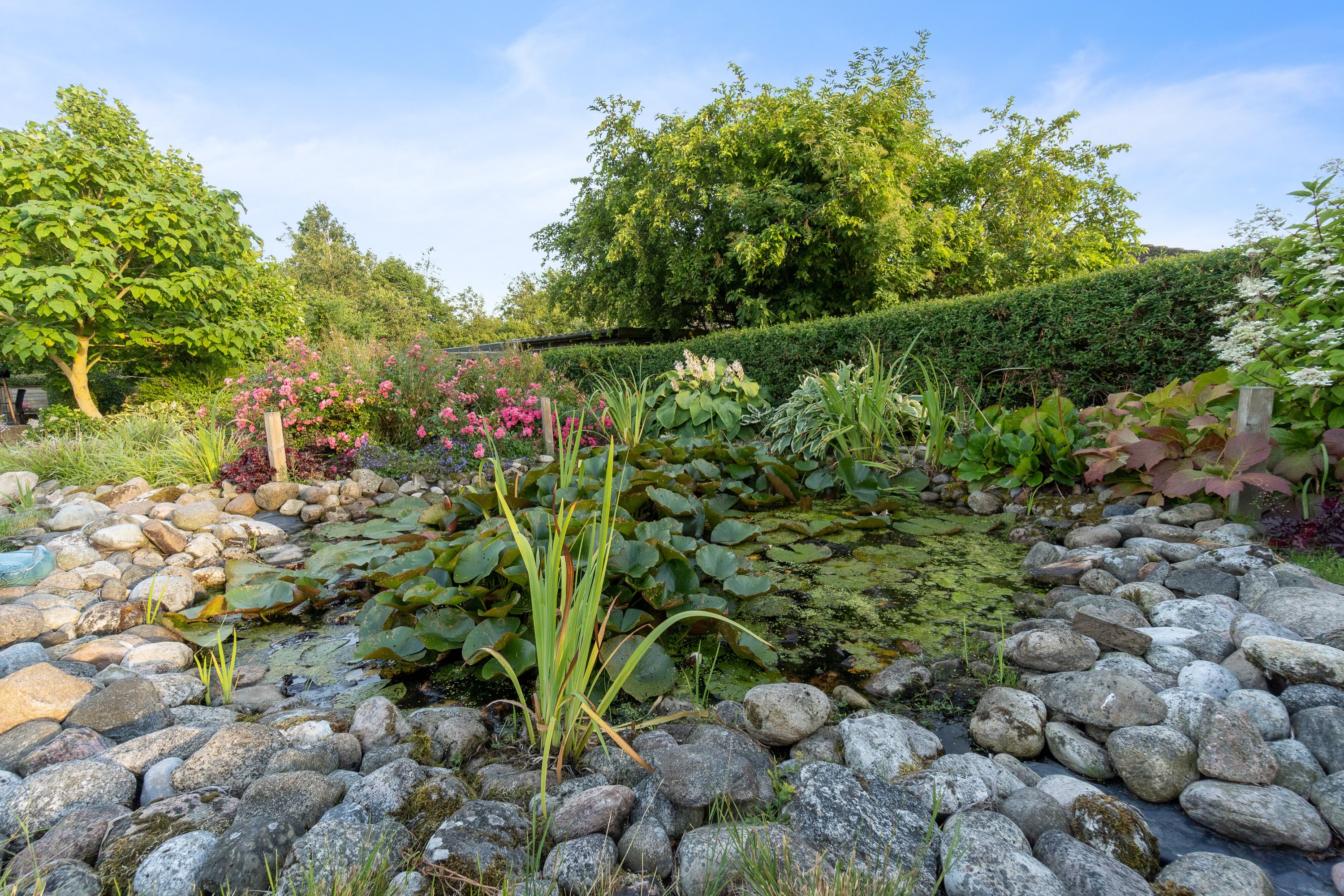 Fremhævet udendørs billede i fuldskærmstilstand. Billede af Linalyst 7, 9610 Nørager