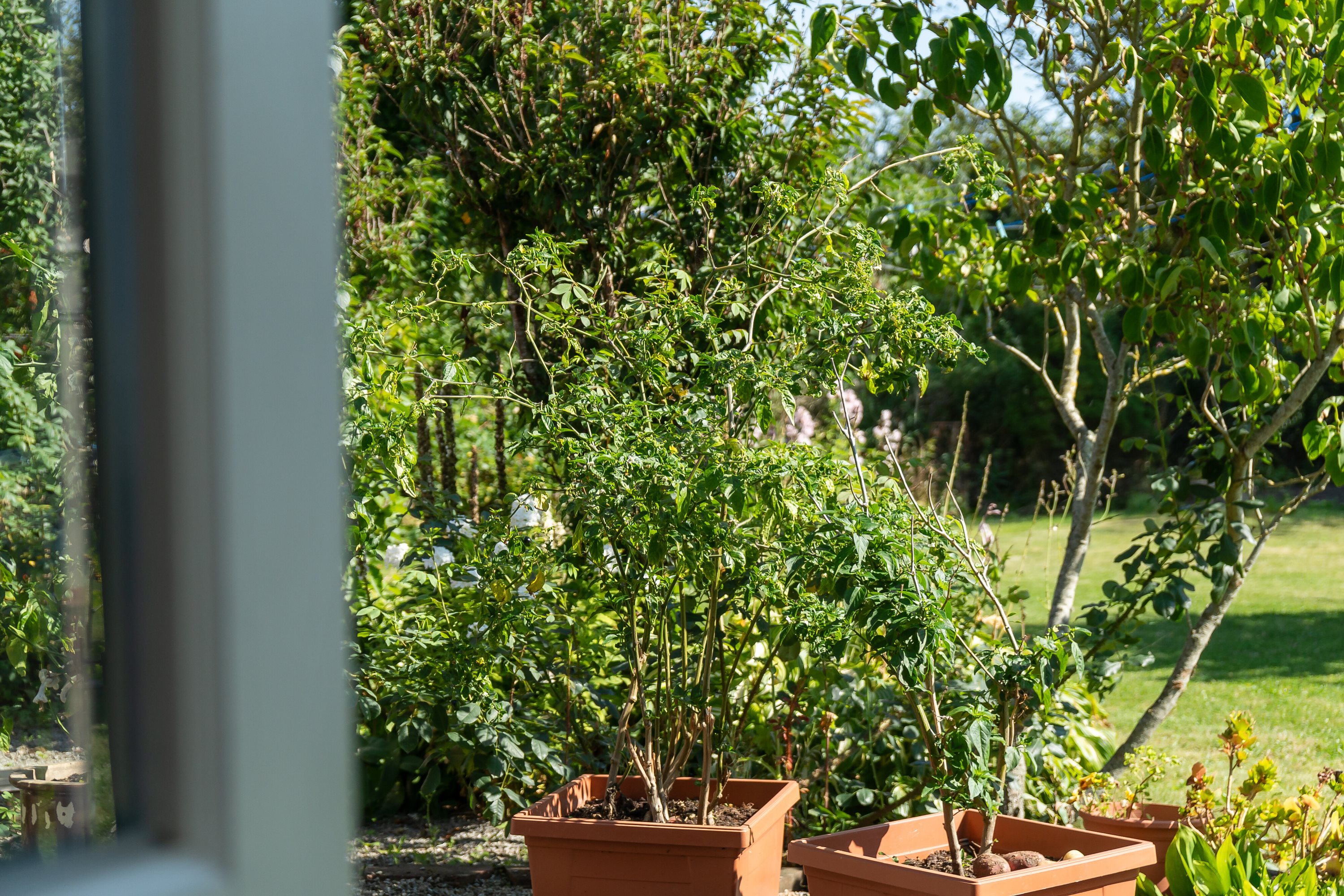 Fremhævet  billede i fuldskærmstilstand. Billede af Odinsvej 2, Koldby, 7752 Snedsted