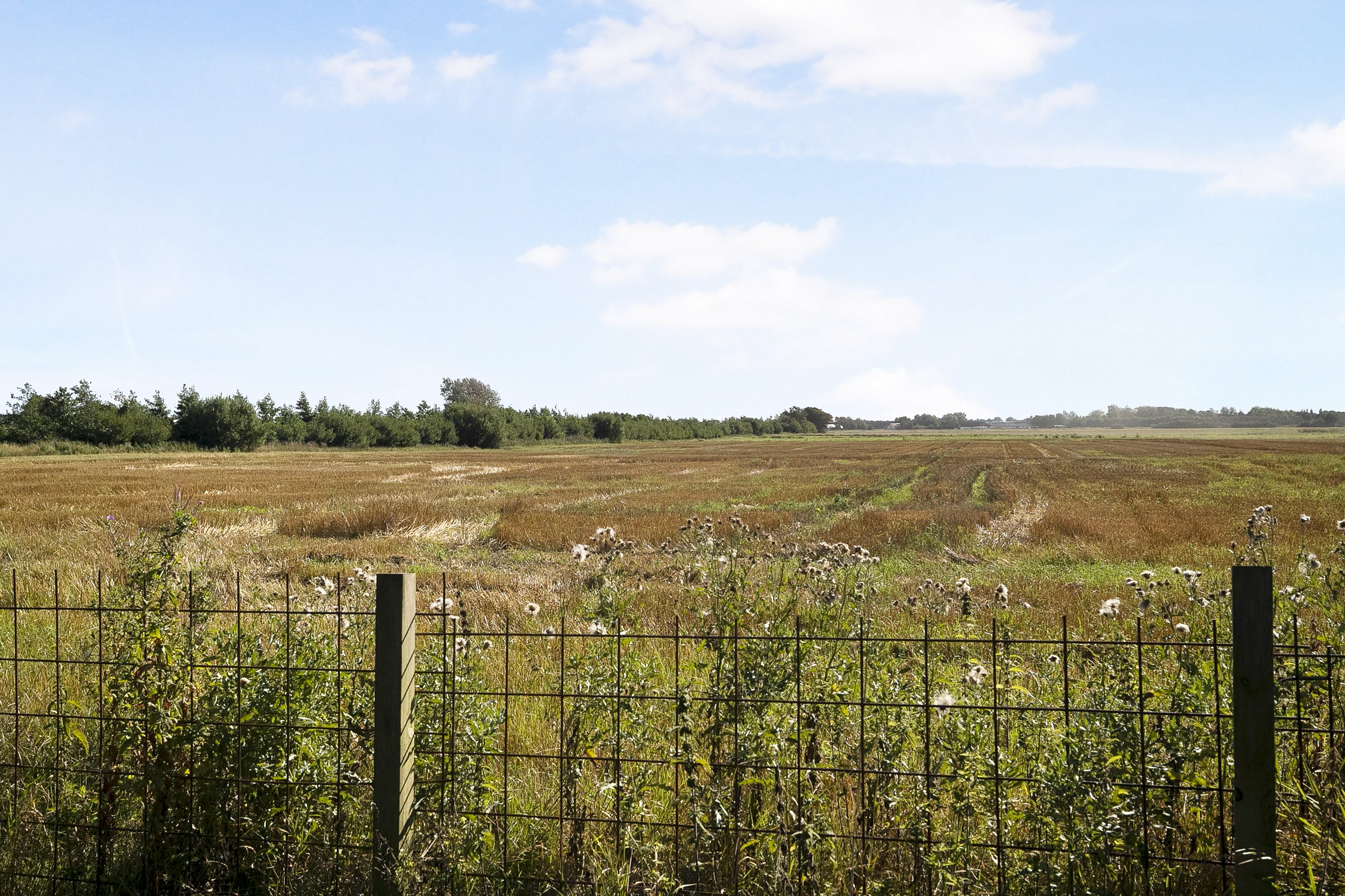 Fremhævet udsigt billede i fuldskærmstilstand. Billede af Vilsbæk Engvej 23, 9460 Brovst