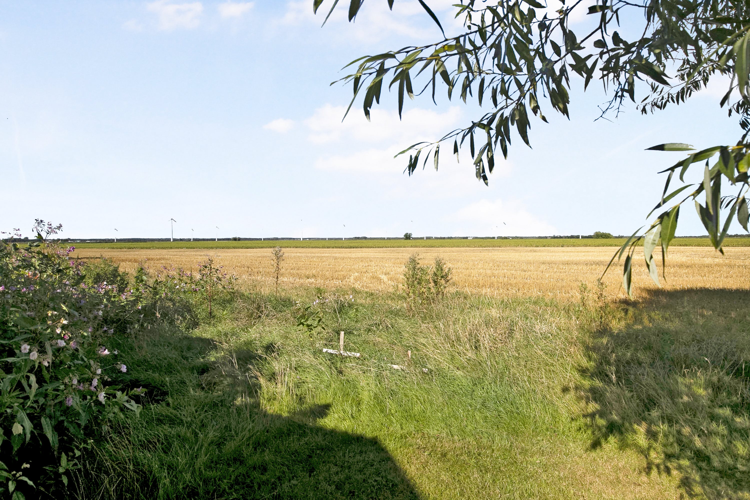 Fremhævet udsigt billede i fuldskærmstilstand. Billede af Vilsbæk Engvej 23, 9460 Brovst