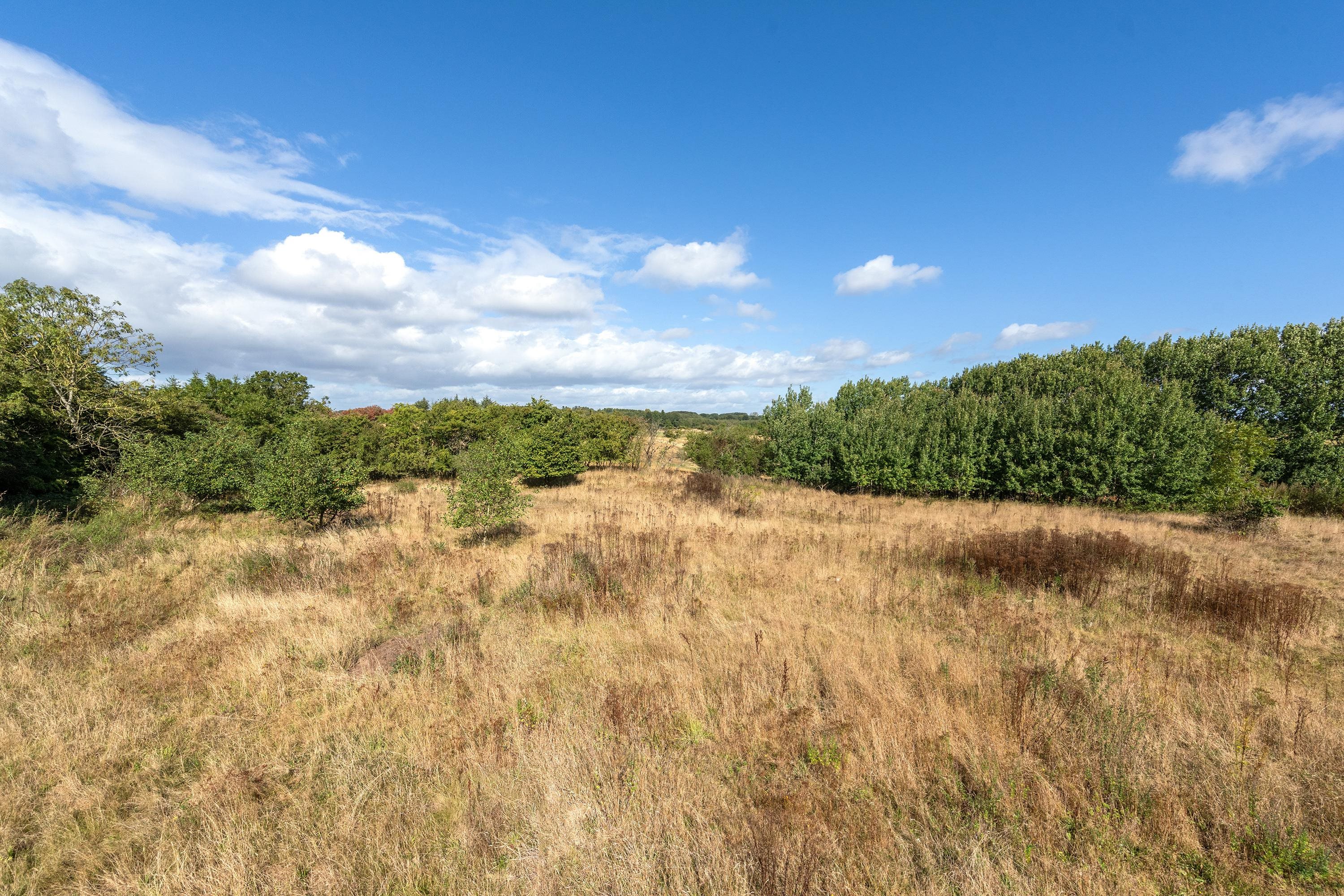 Fremhævet område billede i fuldskærmstilstand. Billede af Øster Løgumvej 62, Ø Løgum Mark, 6230 Rødekro
