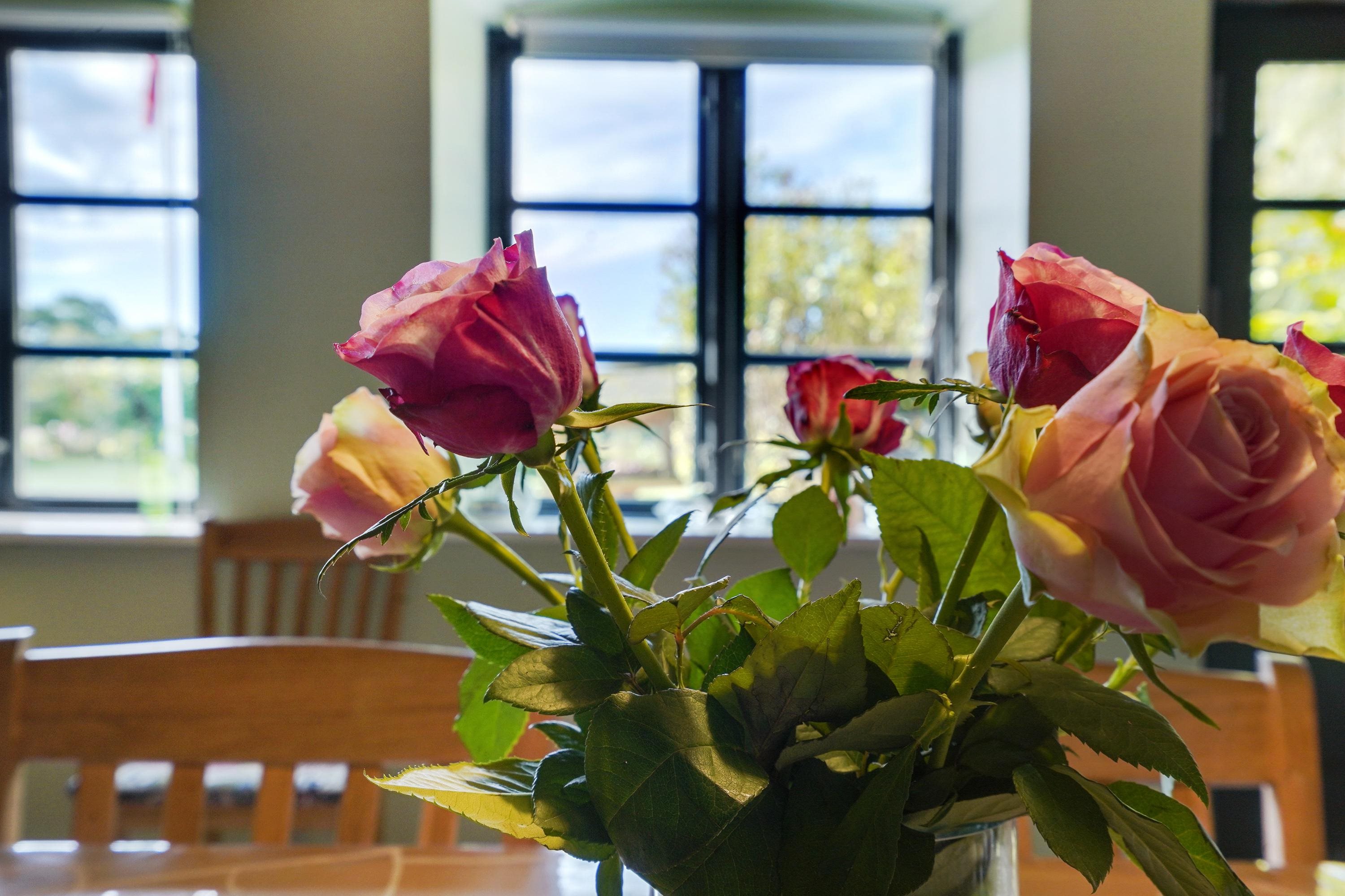 Fremhævet alrum billede i fuldskærmstilstand. Billede af Over Blåkrog 1, Varnæs, 6200 Aabenraa