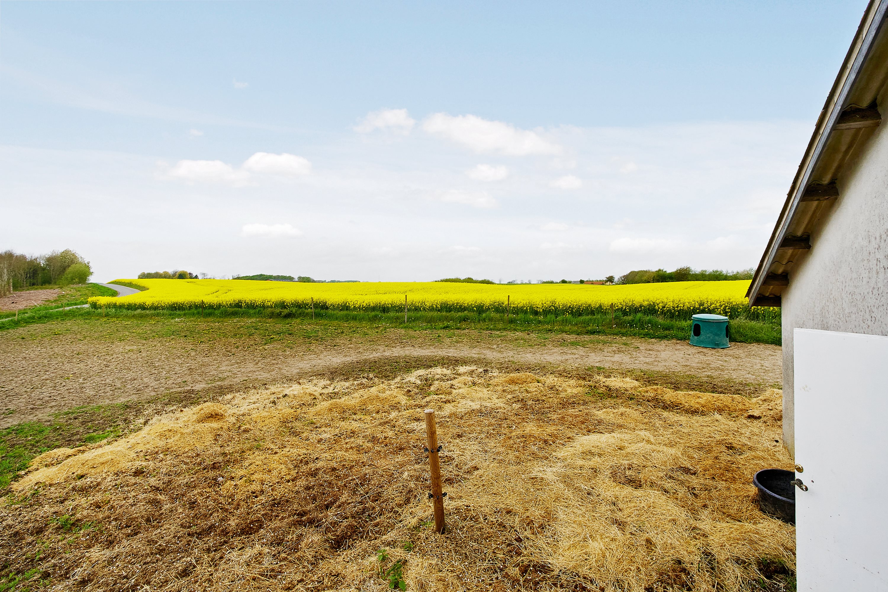 Fremhævet grund billede i fuldskærmstilstand. Billede af Teglværksvej 49, Ølsted, 8723 Løsning
