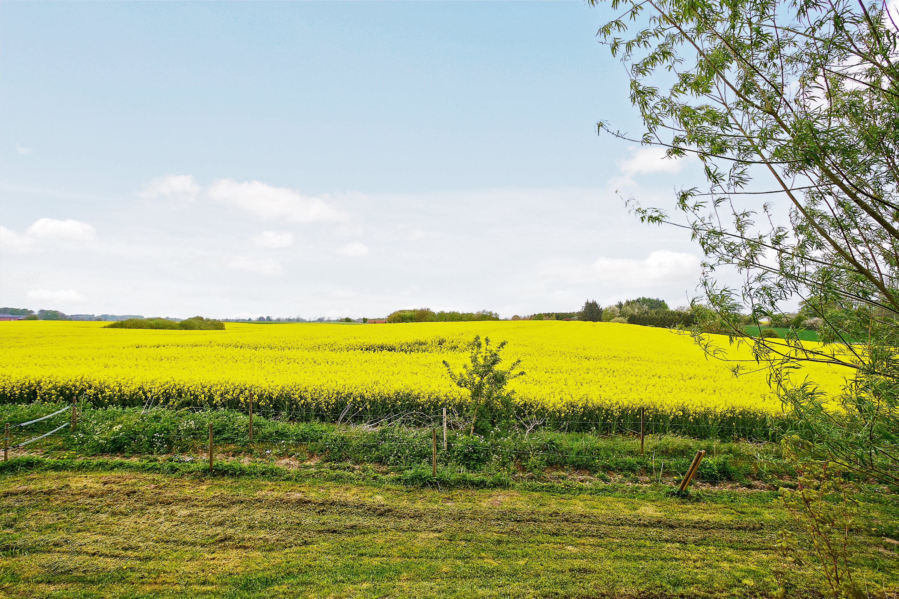 Fremhævet udsigt billede i fuldskærmstilstand. Billede af Teglværksvej 49, Ølsted, 8723 Løsning