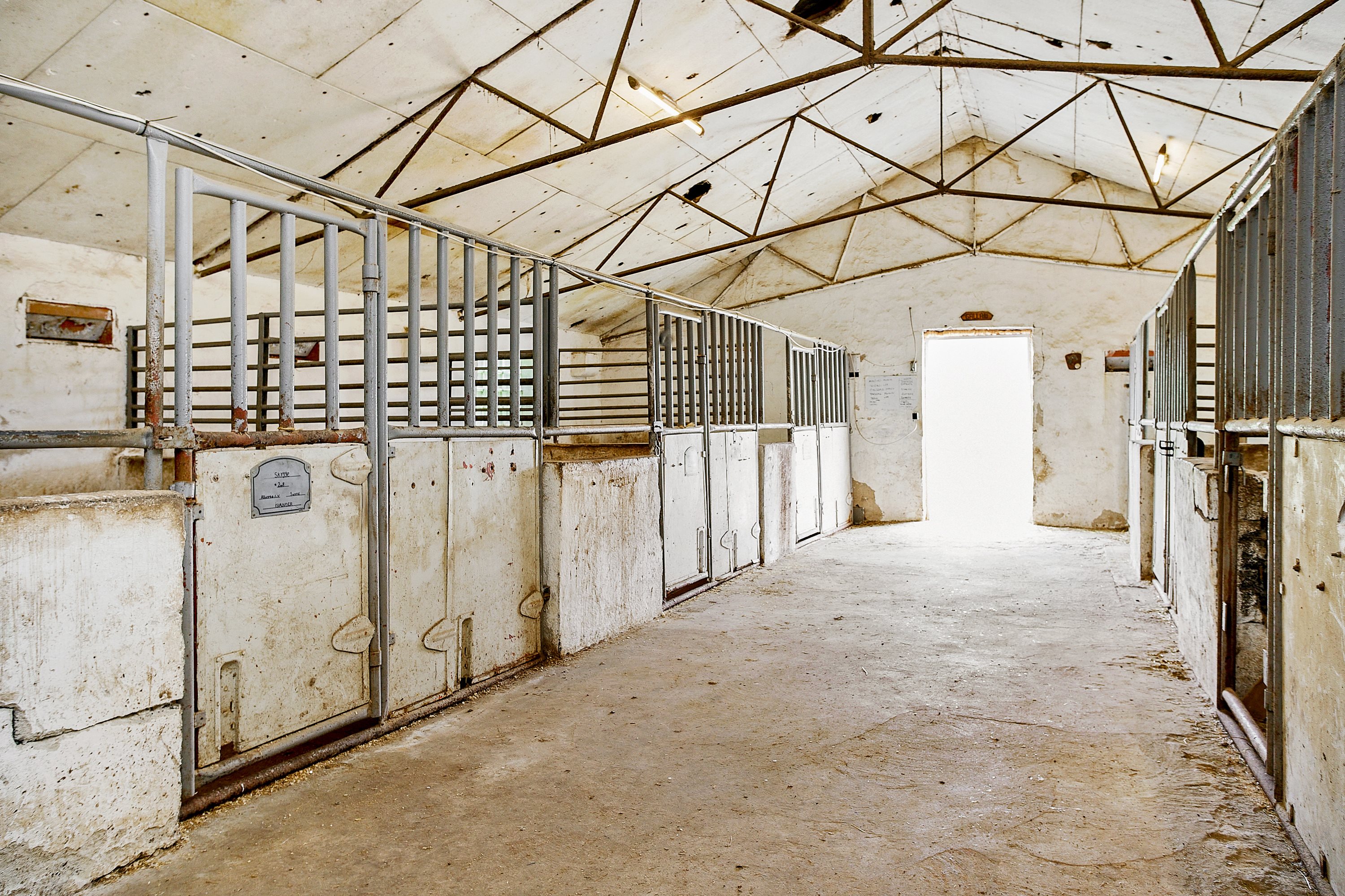 Fremhævet hesteboks billede i fuldskærmstilstand. Billede af Teglværksvej 49, Ølsted, 8723 Løsning