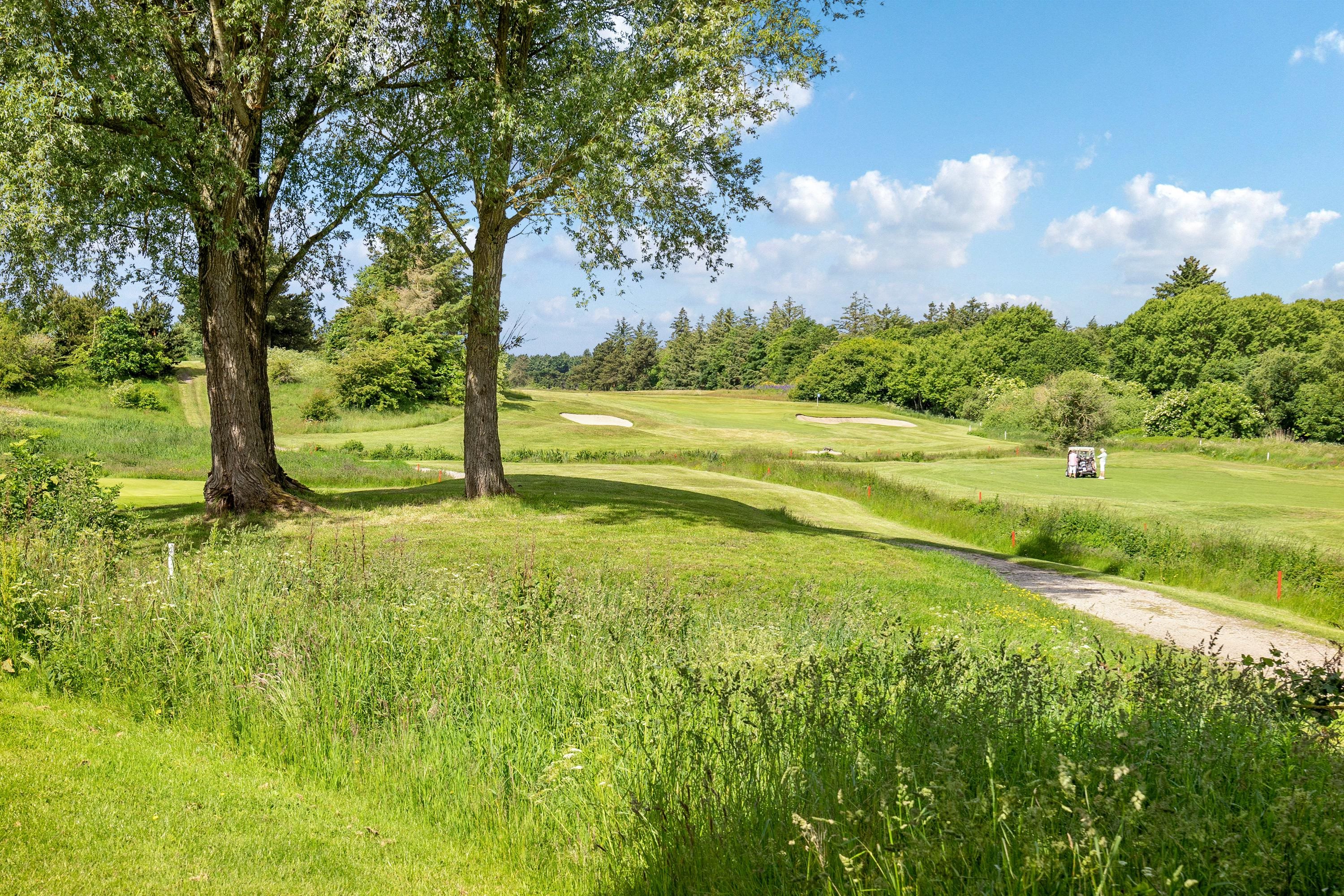Fremhævet udsigt billede i fuldskærmstilstand. Billede af Golfsvinget 221, Gatten, 9640 Farsø