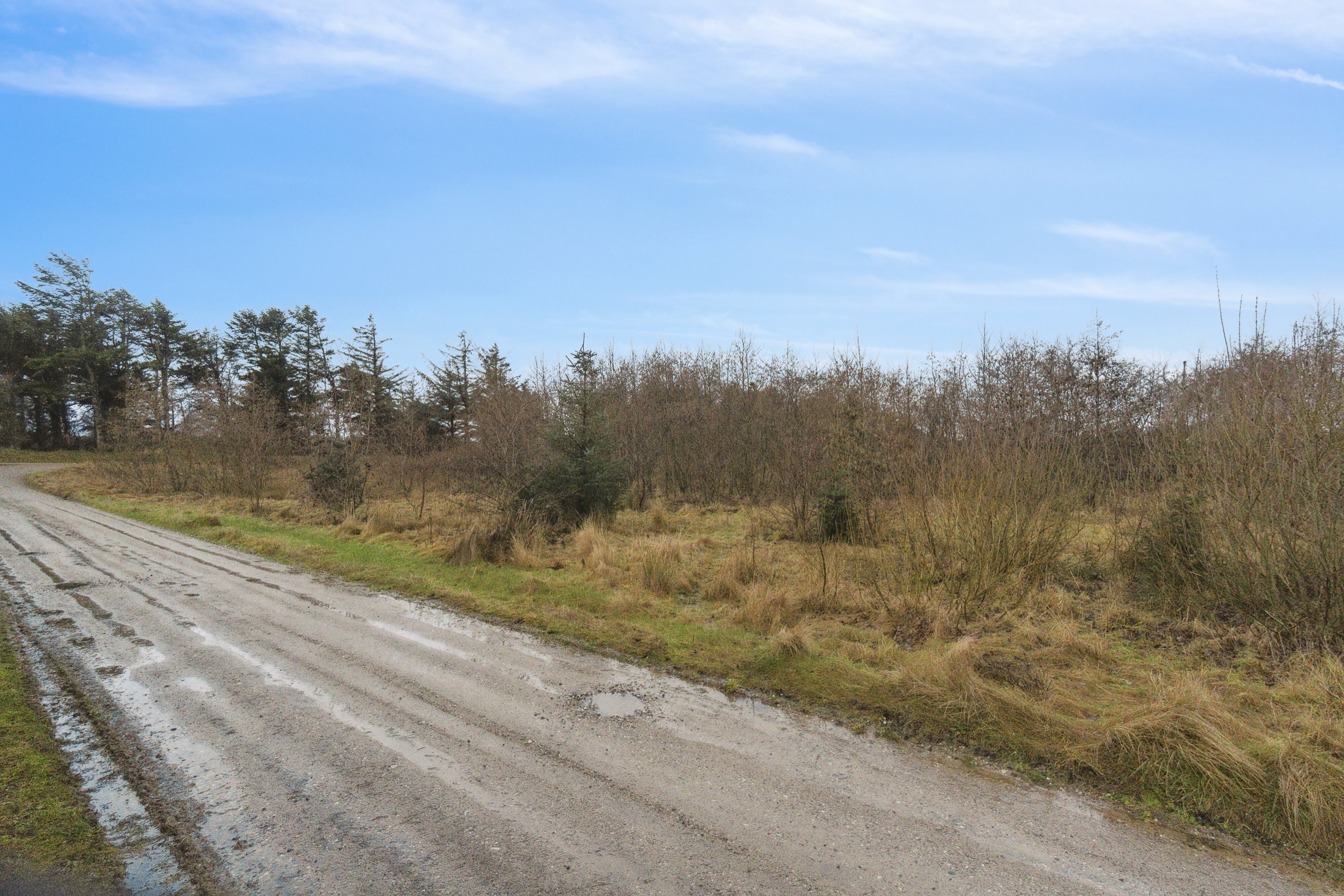Fremhævet omgivelser billede i fuldskærmstilstand. Billede af Sandkæret 9, Lyngby, 9480 Løkken