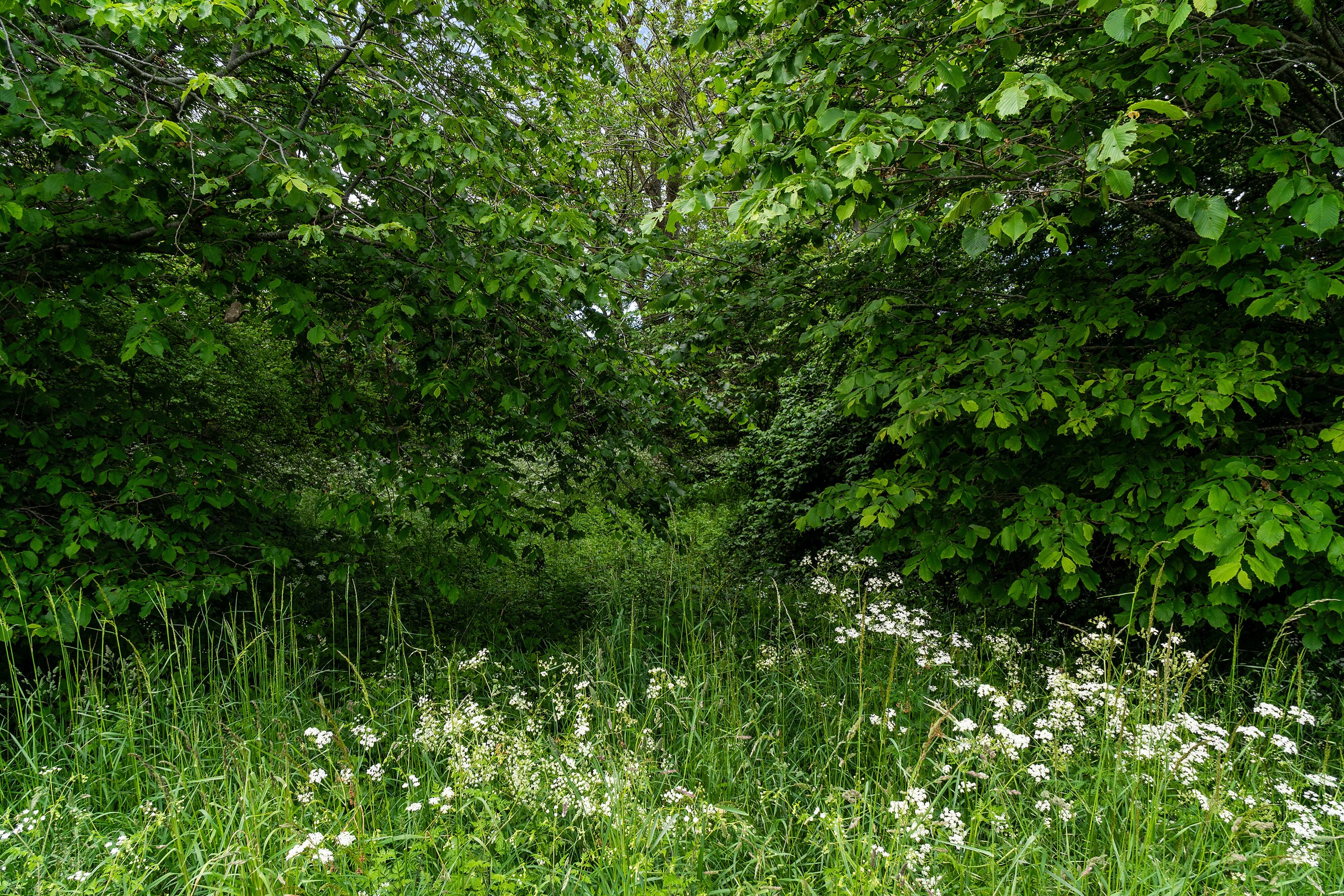Miniaturebillede 2: omgivelser. Billede af Klintvej 174, Klint, 4500 Nykøbing Sj