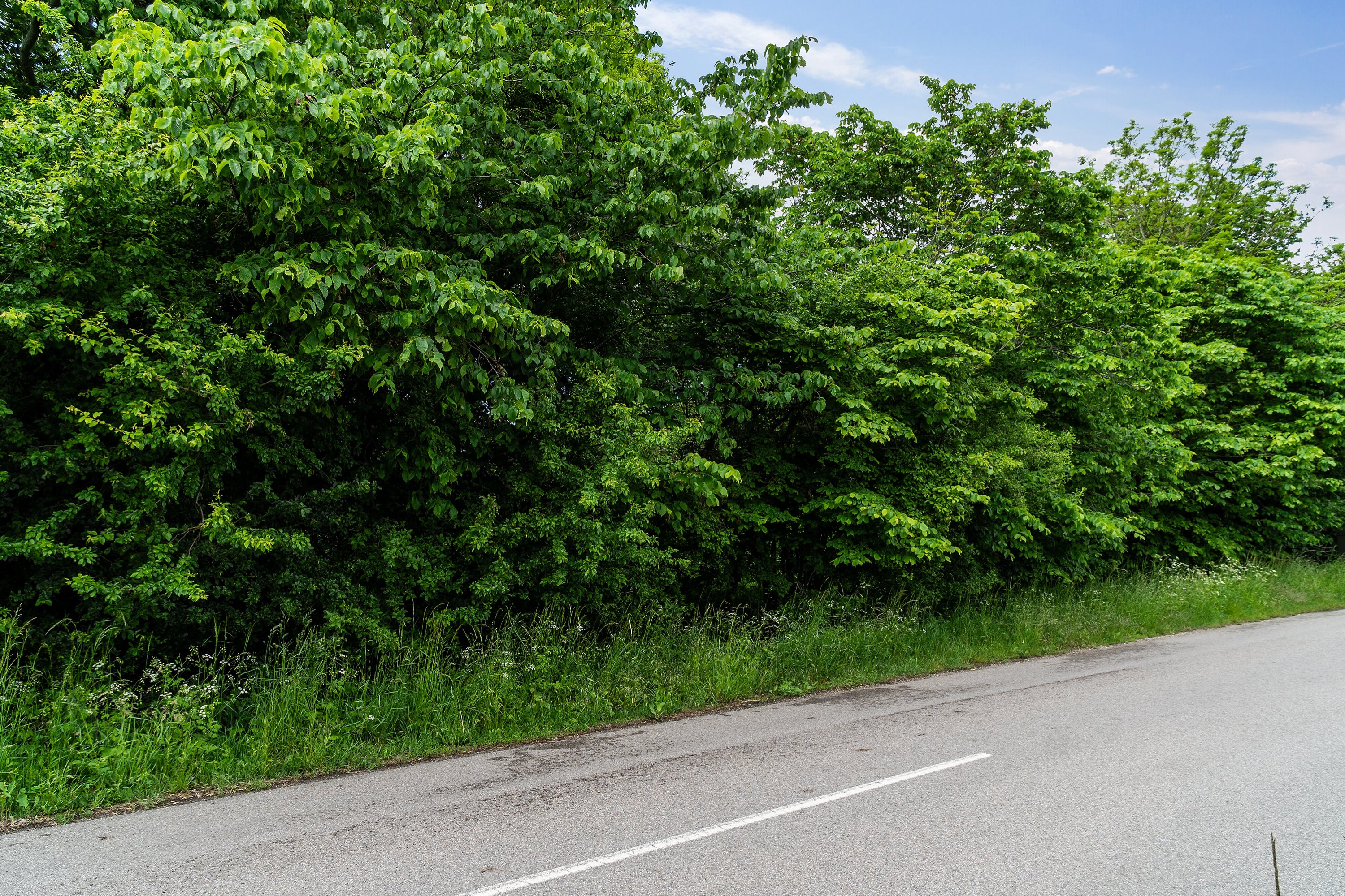 Fremhævet omgivelser billede i fuldskærmstilstand. Billede af Klintvej 174, Klint, 4500 Nykøbing Sj