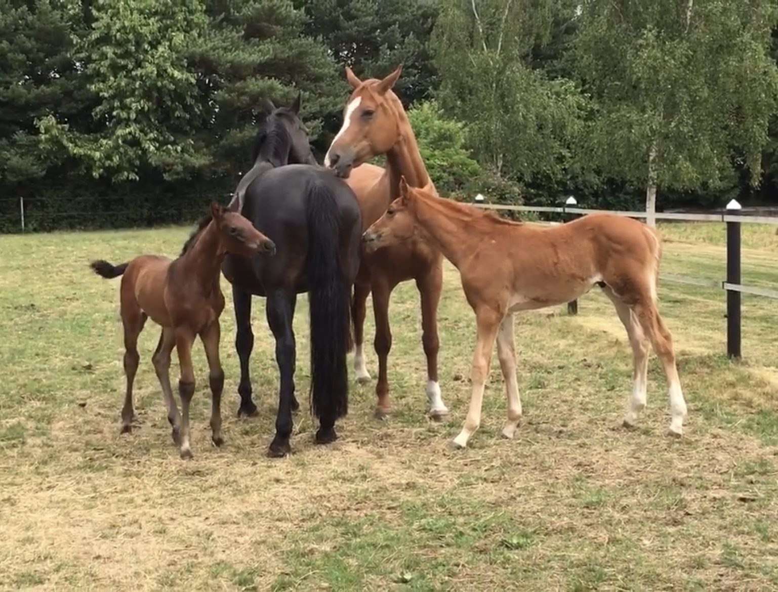 Miniaturebillede 2: andet. Billede af Ribevej 30, Bremmerholm, 6230 Rødekro