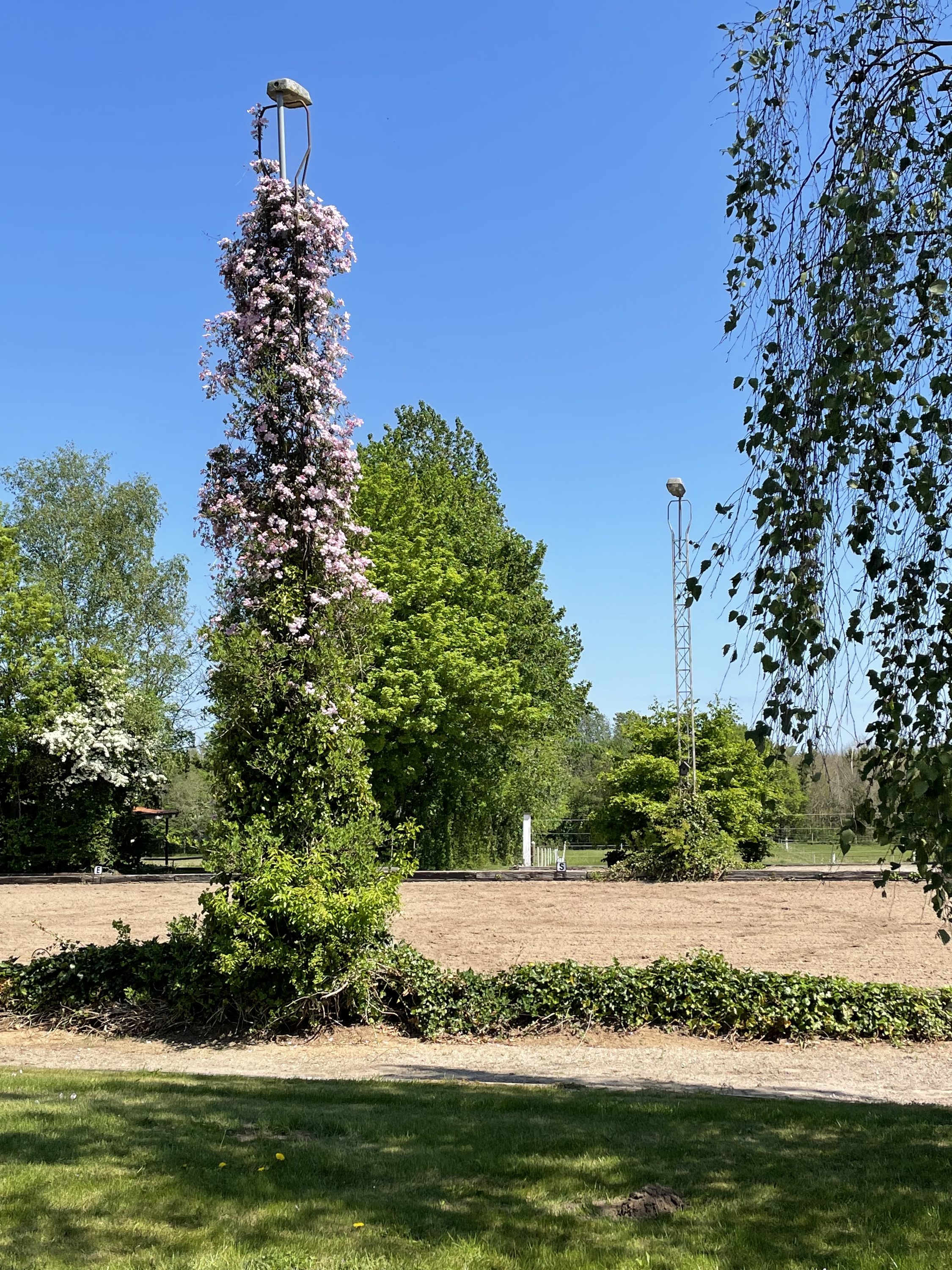 Fremhævet andet billede i fuldskærmstilstand. Billede af Ribevej 30, Bremmerholm, 6230 Rødekro