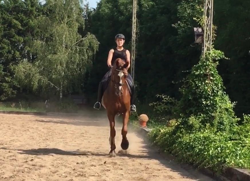 Fremhævet andet billede i fuldskærmstilstand. Billede af Ribevej 30, Bremmerholm, 6230 Rødekro