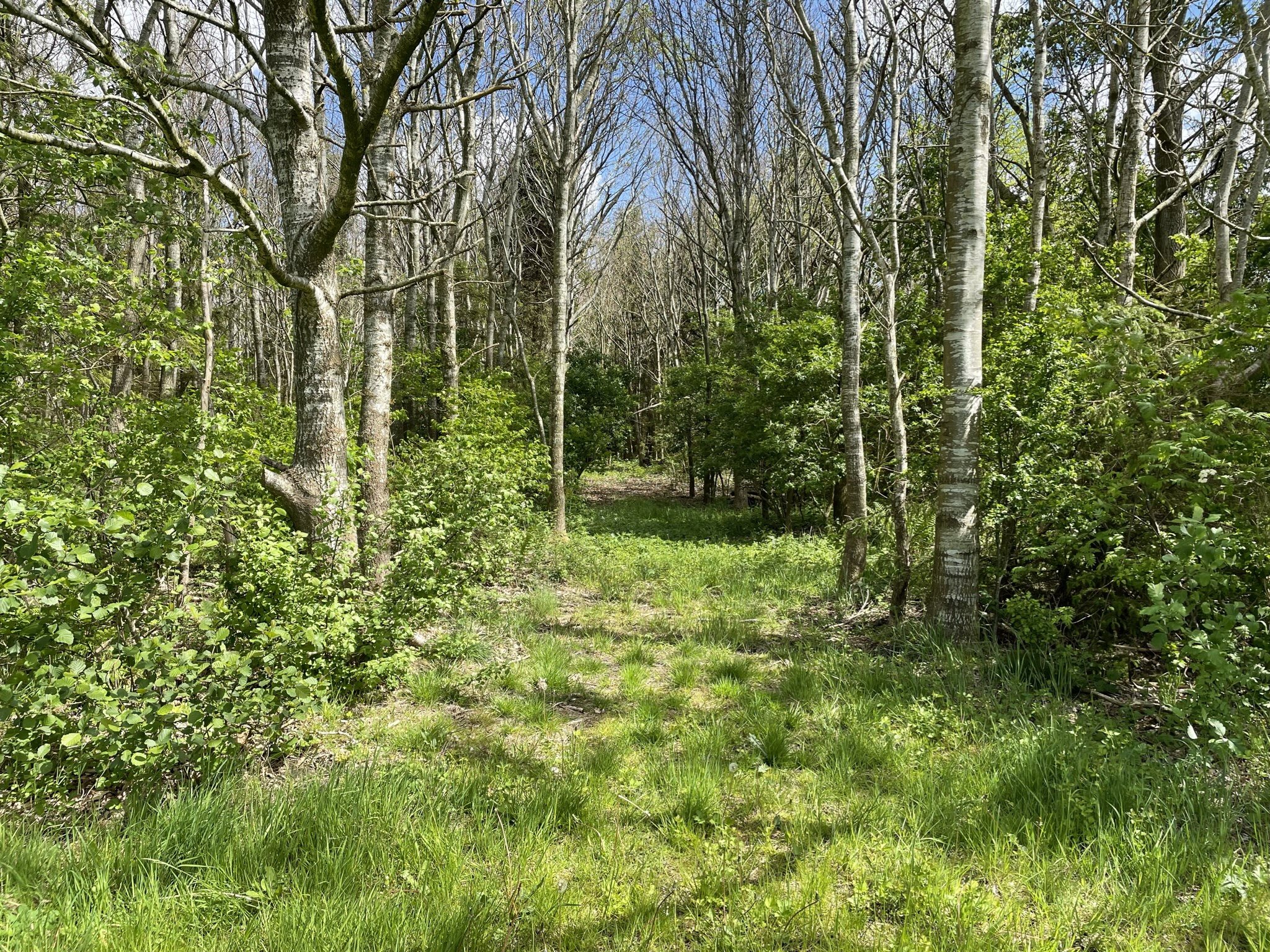 Fremhævet andet billede i fuldskærmstilstand. Billede af Ribevej 30, Bremmerholm, 6230 Rødekro