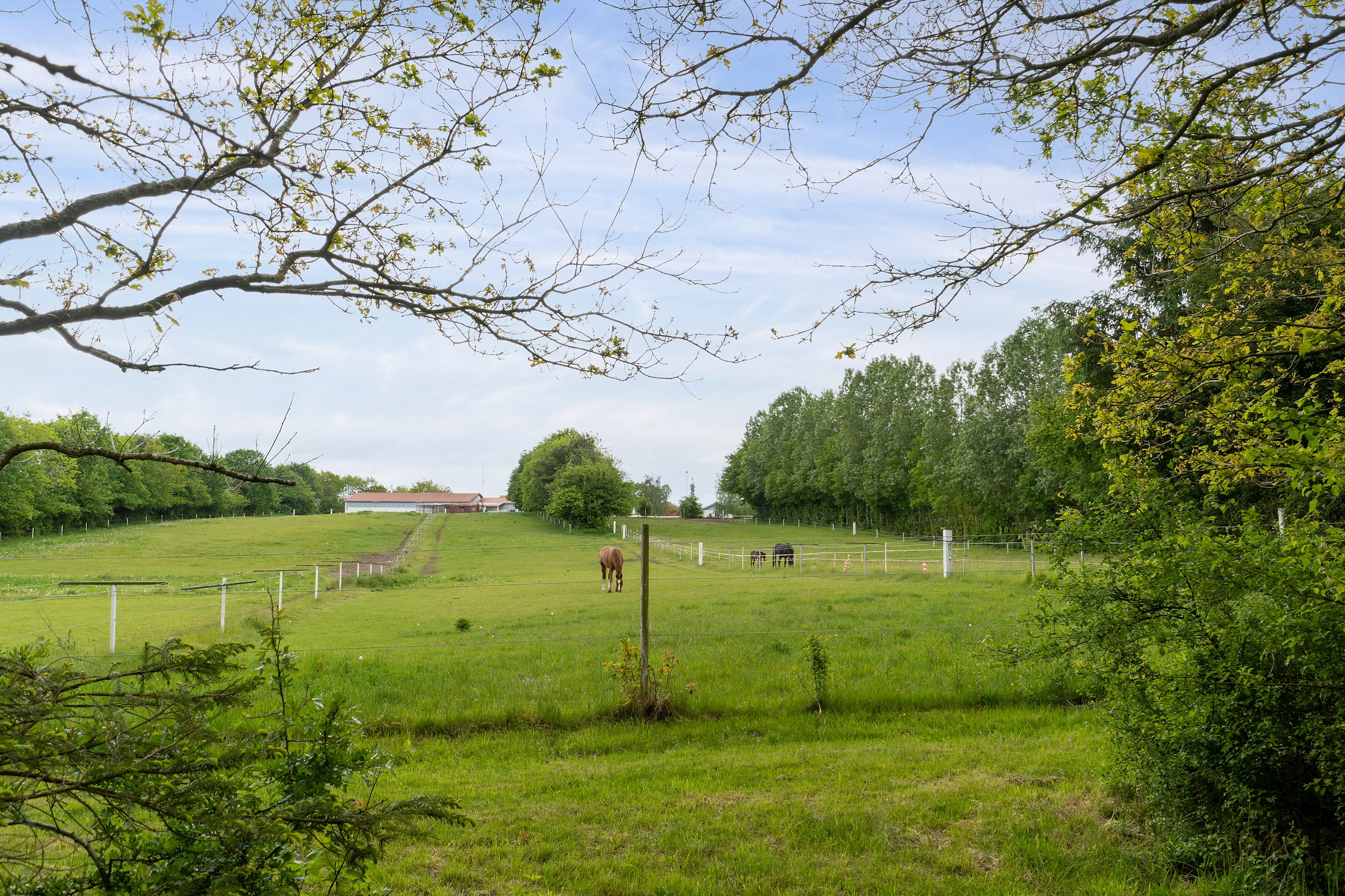 Fremhævet andet billede i fuldskærmstilstand. Billede af Ribevej 30, Bremmerholm, 6230 Rødekro