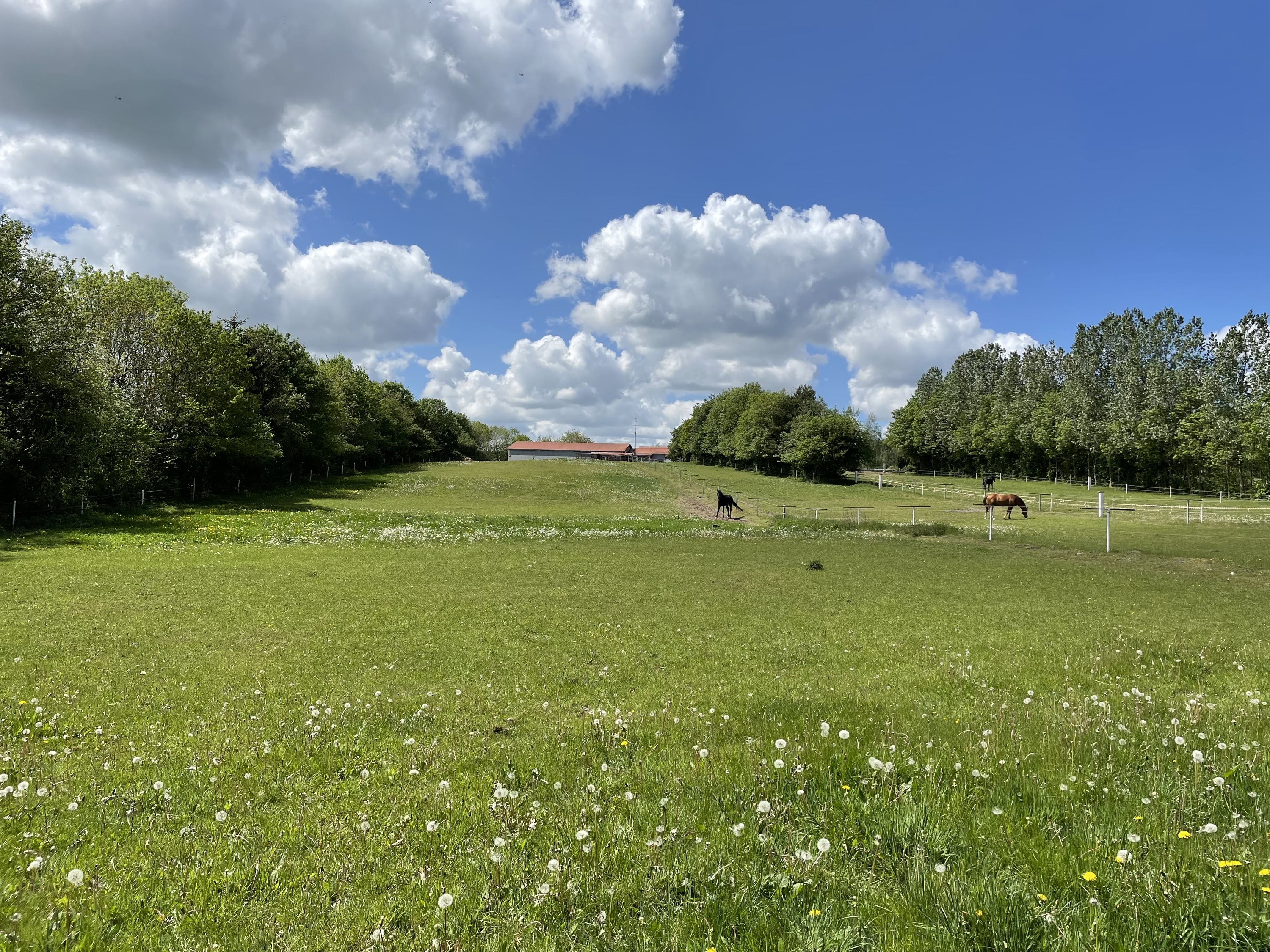 Fremhævet andet billede i fuldskærmstilstand. Billede af Ribevej 30, Bremmerholm, 6230 Rødekro