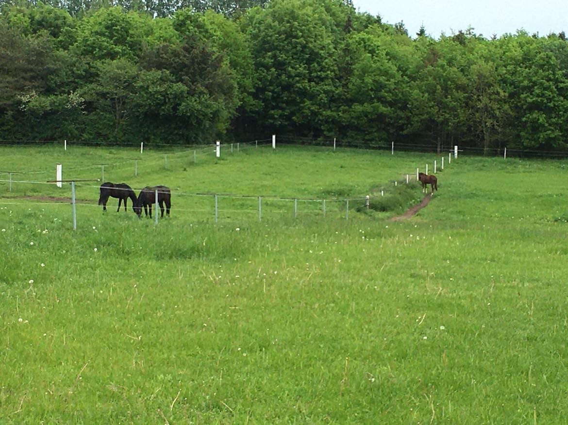 Fremhævet andet billede i fuldskærmstilstand. Billede af Ribevej 30, Bremmerholm, 6230 Rødekro