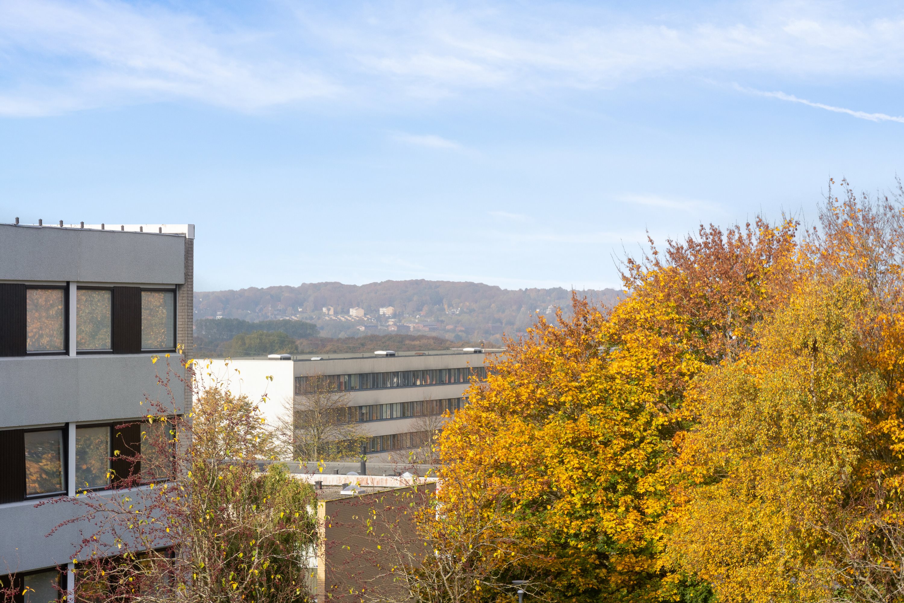 Fremhævet udendørs billede i fuldskærmstilstand. Billede af Grøndalsvej 62, 3. th., 8260 Viby J