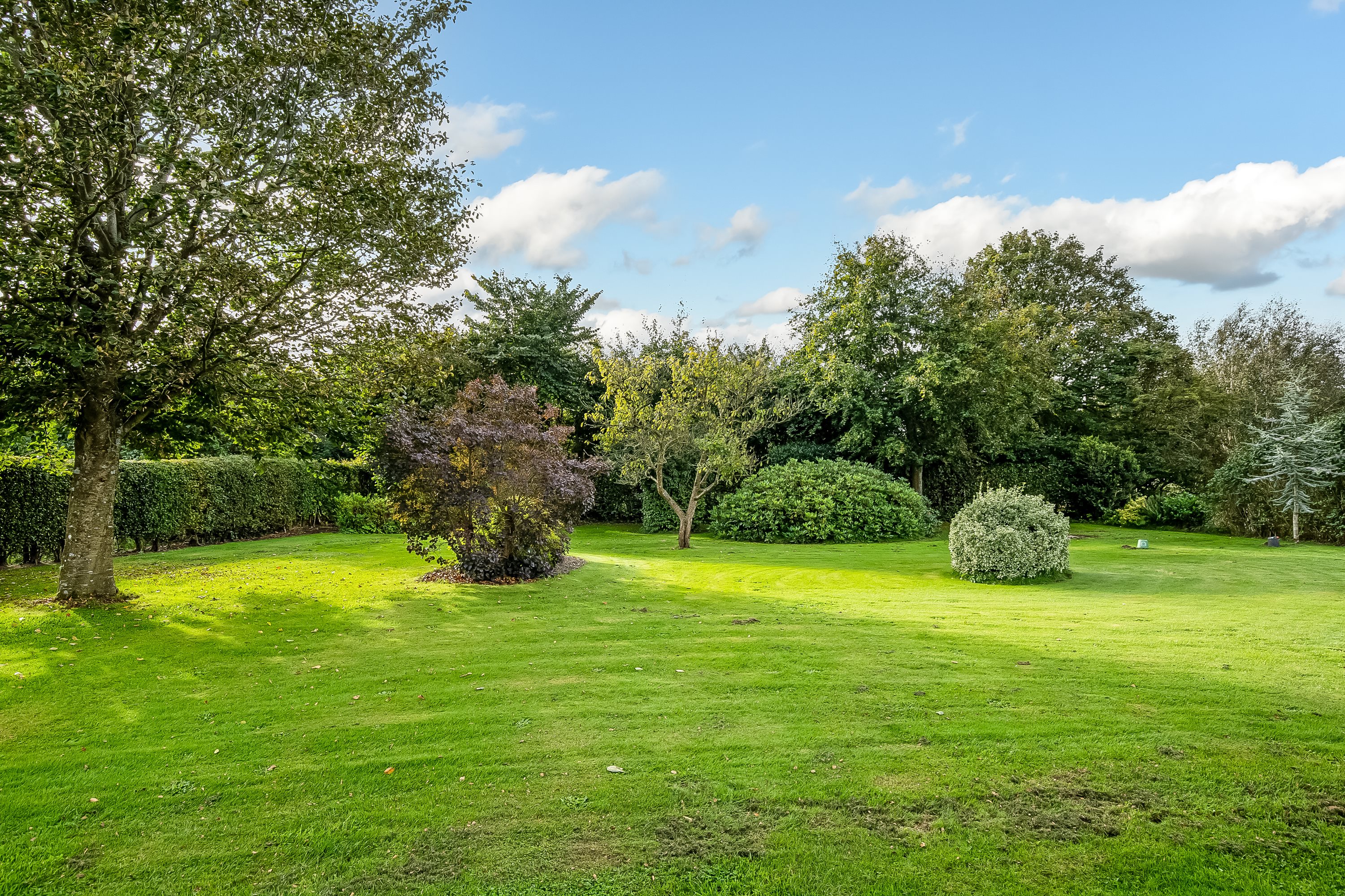 Fremhævet have billede i fuldskærmstilstand. Billede af Risbøge 14, Højrup, 6640 Lunderskov