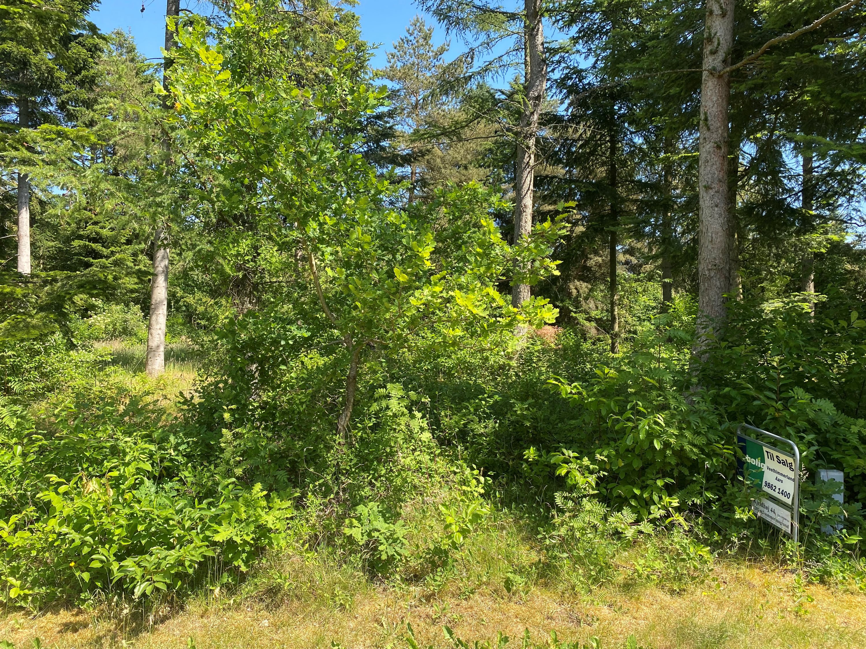 Miniaturebillede 2: grund. Billede af Kjeldhøj 44, Ertebølle, 9640 Farsø