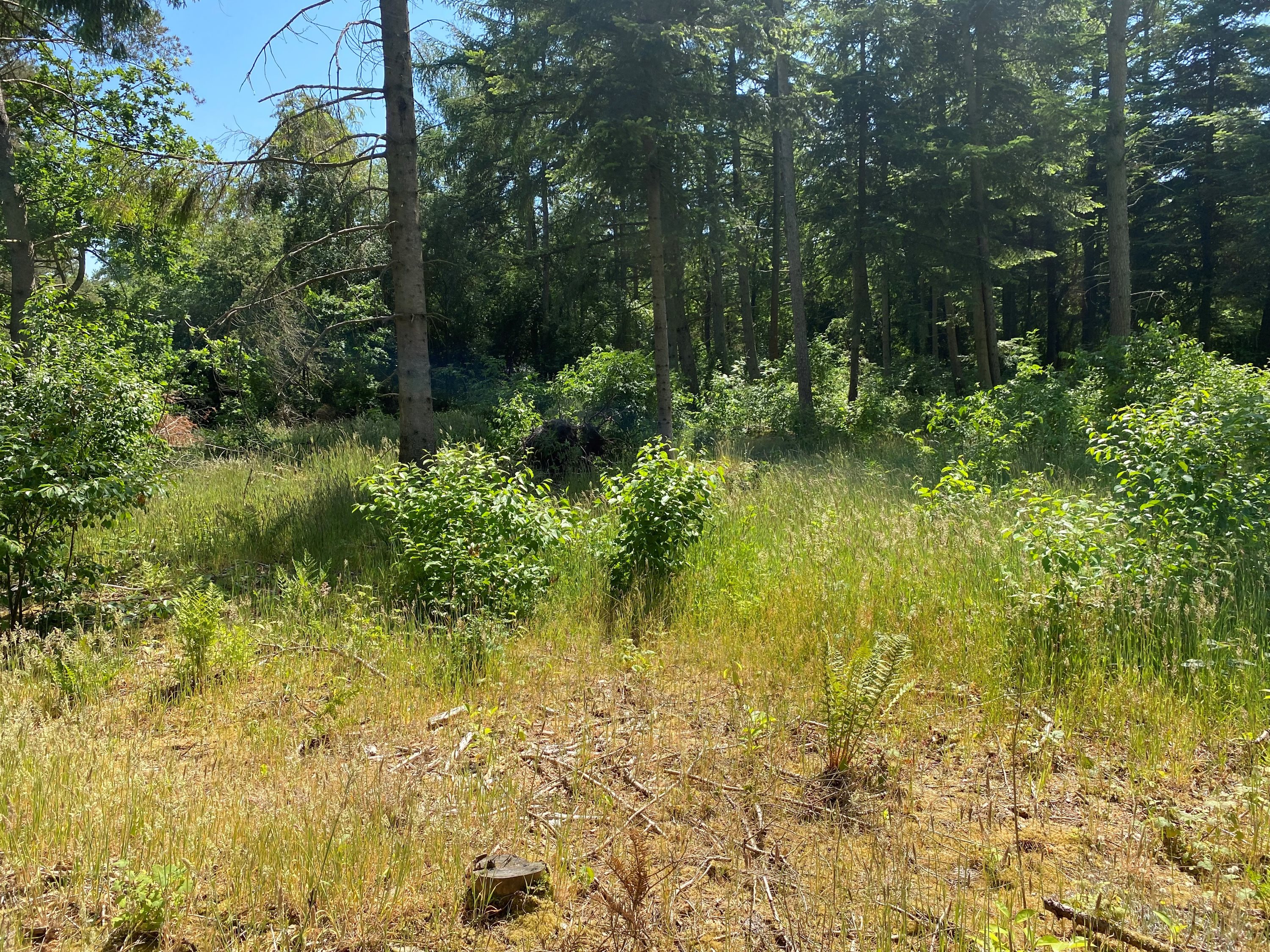 Fremhævet grund billede i fuldskærmstilstand. Billede af Kjeldhøj 44, Ertebølle, 9640 Farsø