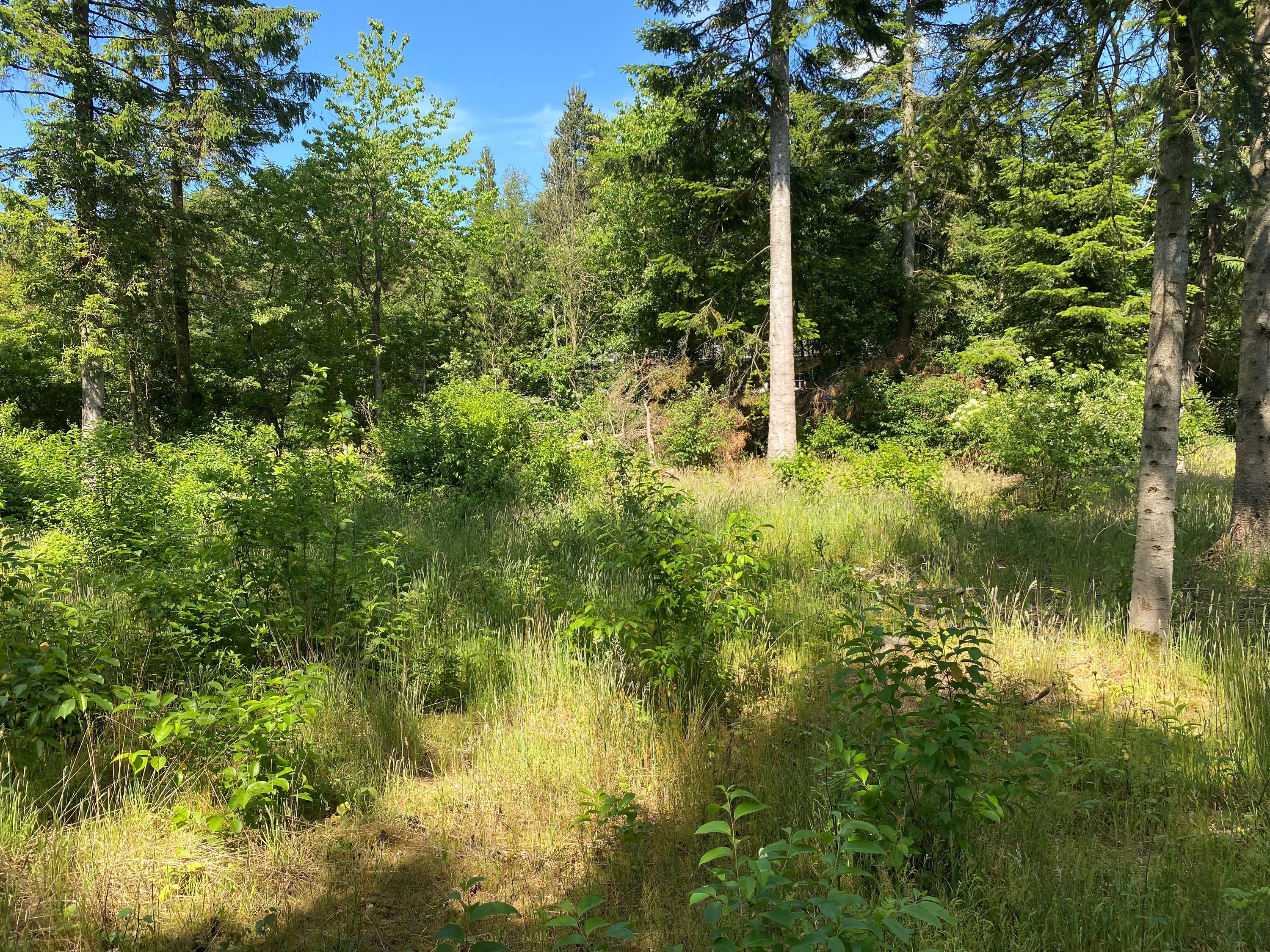 Fremhævet grund billede i fuldskærmstilstand. Billede af Kjeldhøj 44, Ertebølle, 9640 Farsø