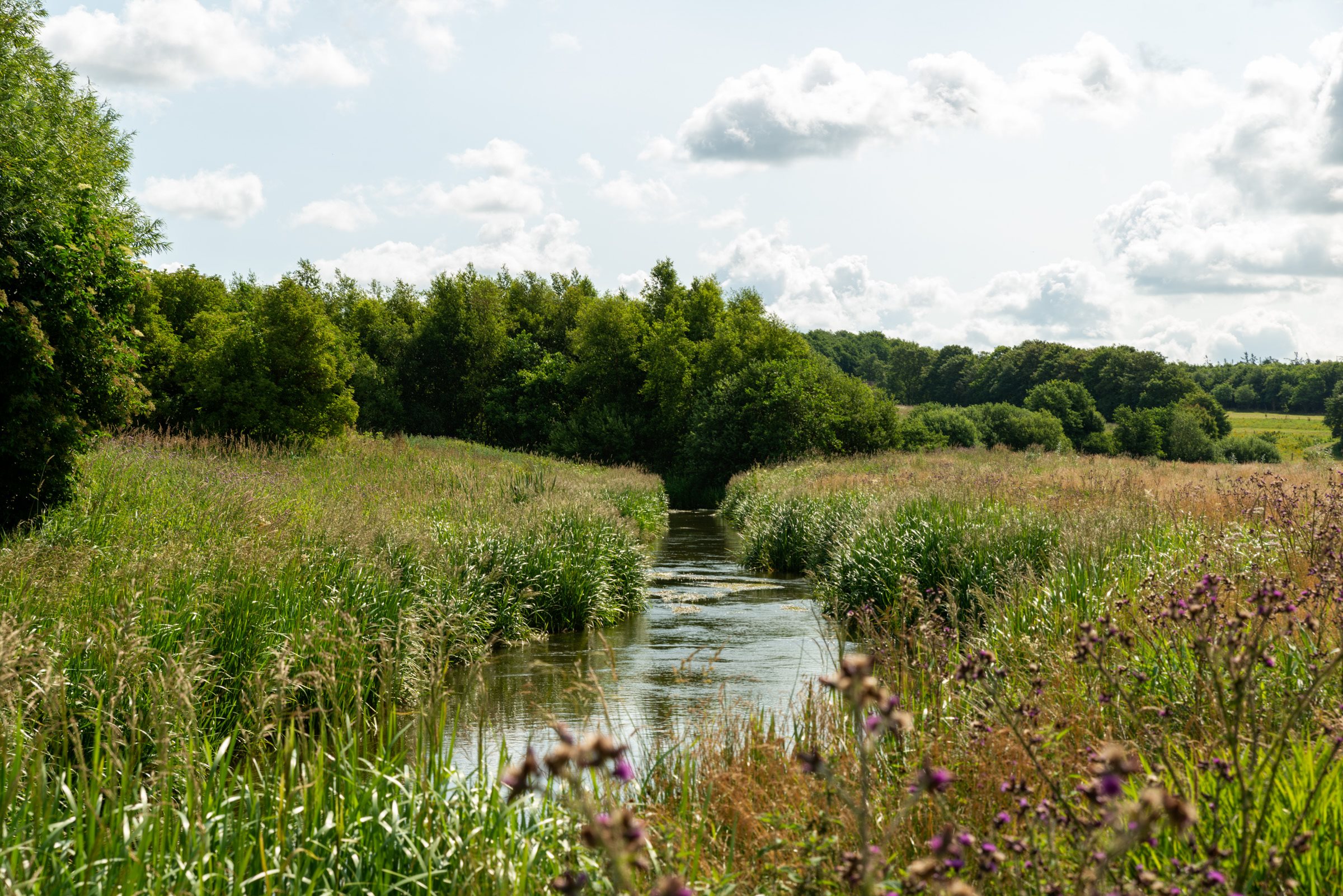 Fremhævet andet billede i fuldskærmstilstand. Billede af Munkbrovej 15B, Nr Felding, 7500 Holstebro