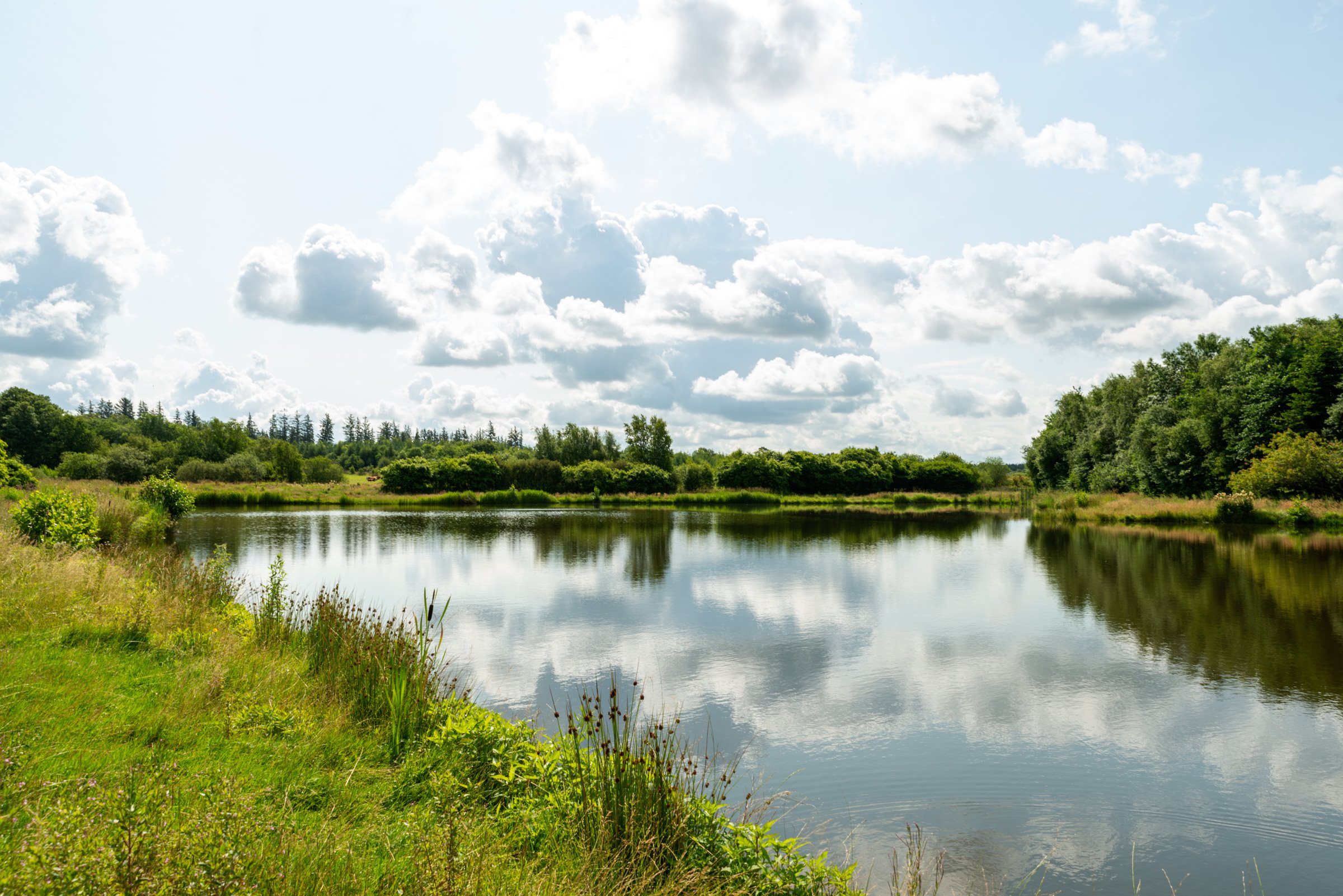 Fremhævet andet billede i fuldskærmstilstand. Billede af Munkbrovej 15B, Nr Felding, 7500 Holstebro