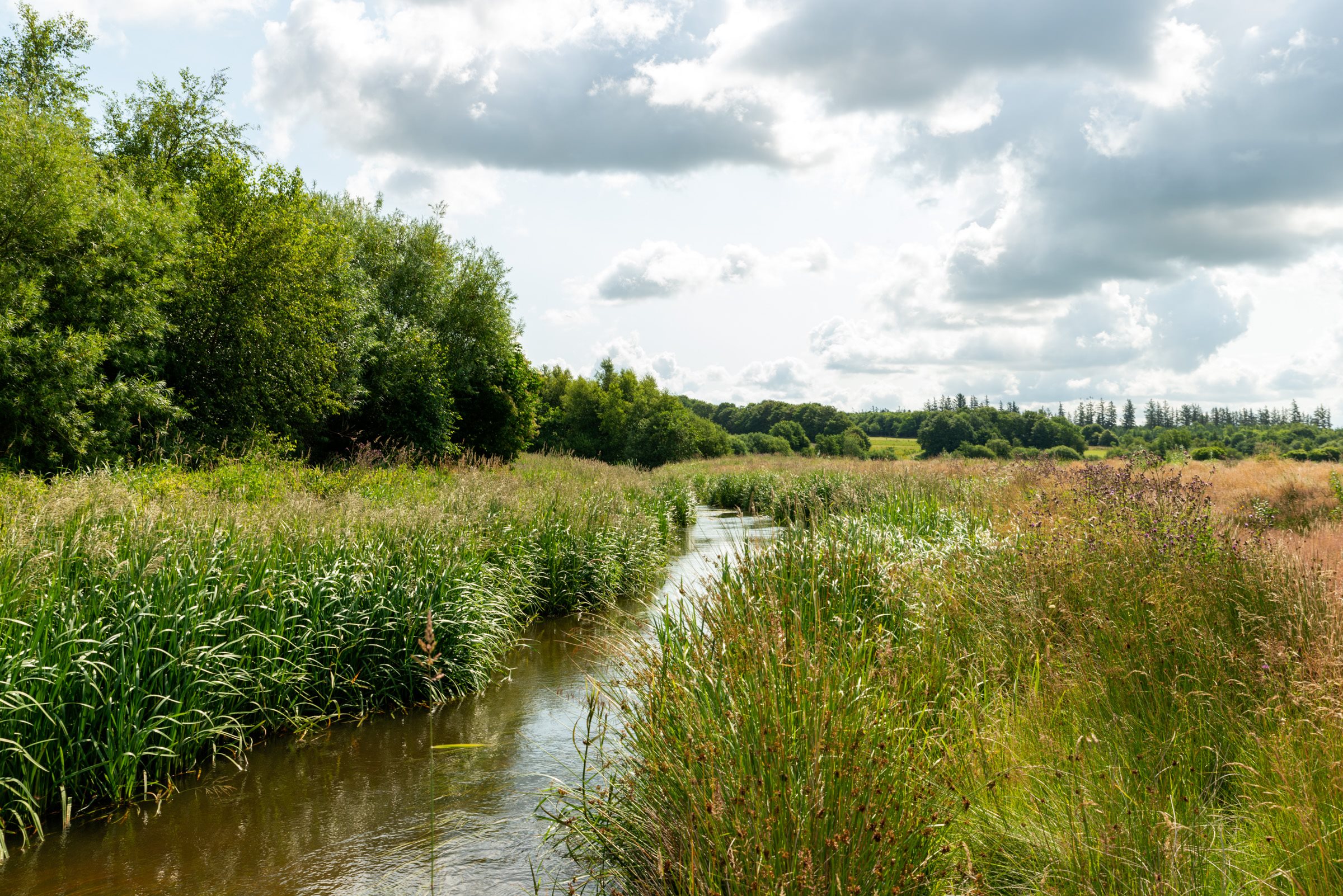 Fremhævet andet billede i fuldskærmstilstand. Billede af Munkbrovej 15B, Nr Felding, 7500 Holstebro