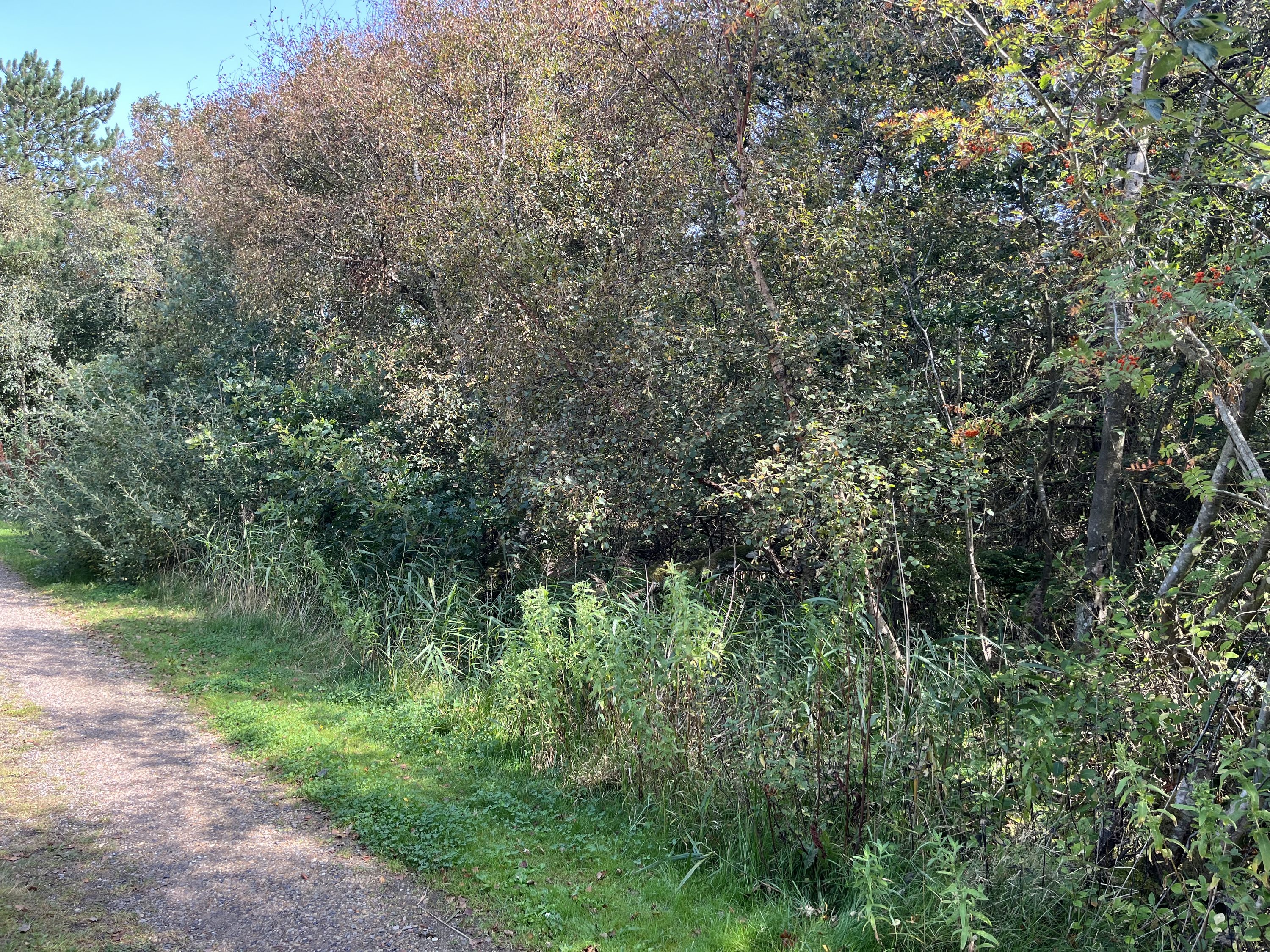 Fremhævet  billede i fuldskærmstilstand. Billede af Engblommevej 26, Lyngs Torp, 7790 Thyholm