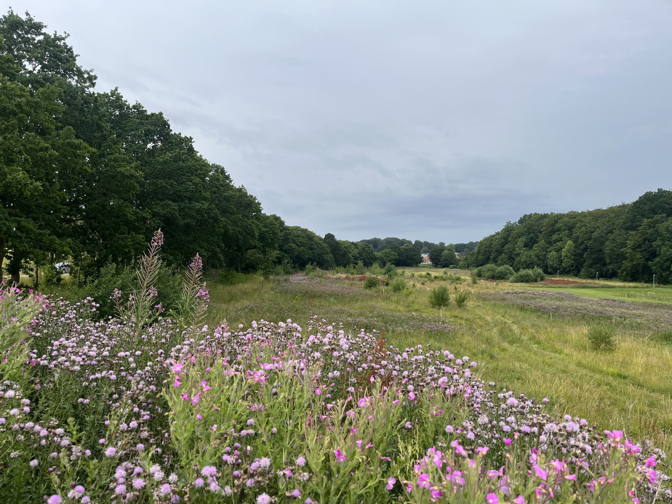 Fremhævet andet billede i fuldskærmstilstand. Billede af Præstelunden 19, 8300 Odder