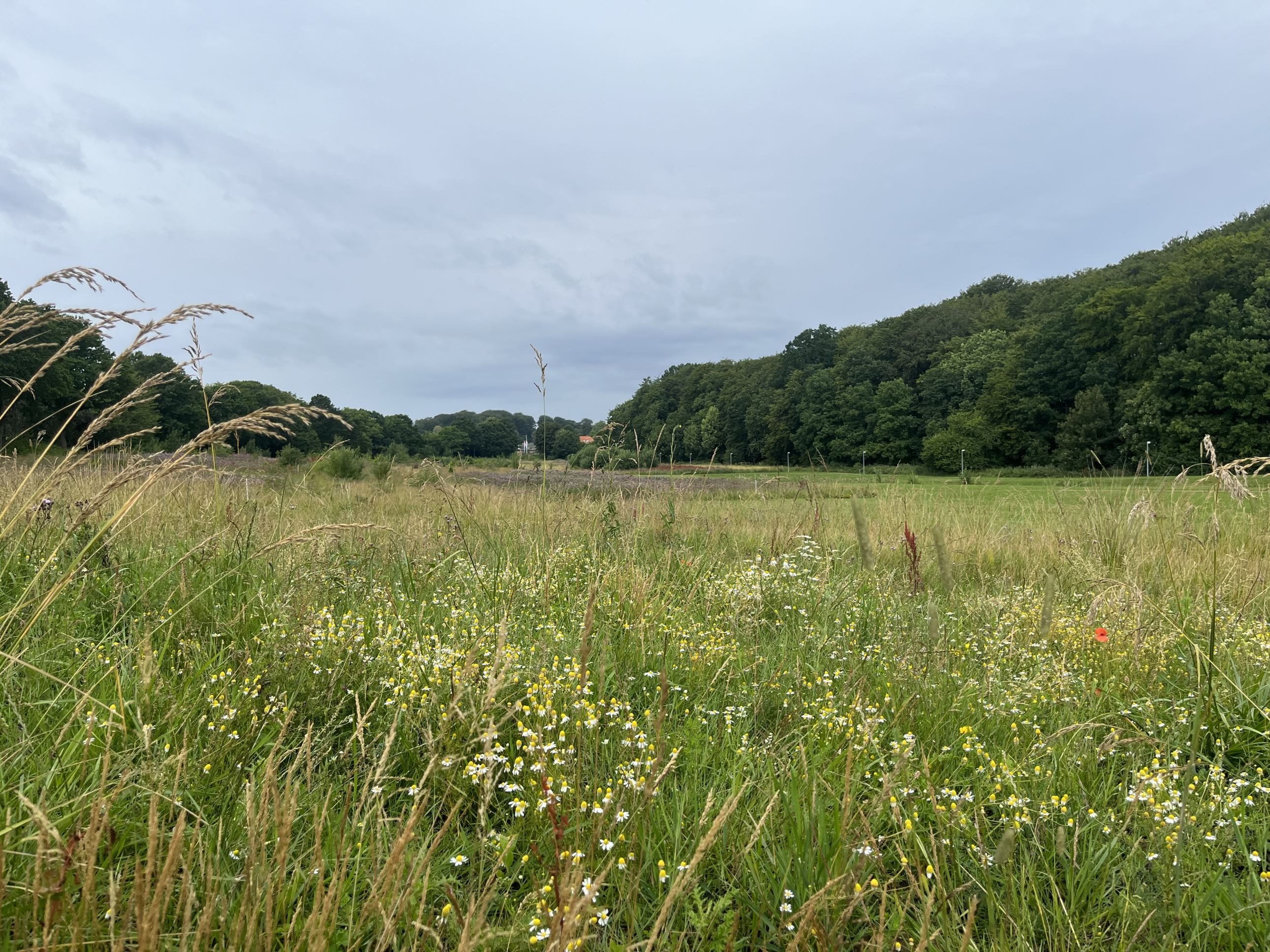 Fremhævet andet billede i fuldskærmstilstand. Billede af Præstelunden 19, 8300 Odder