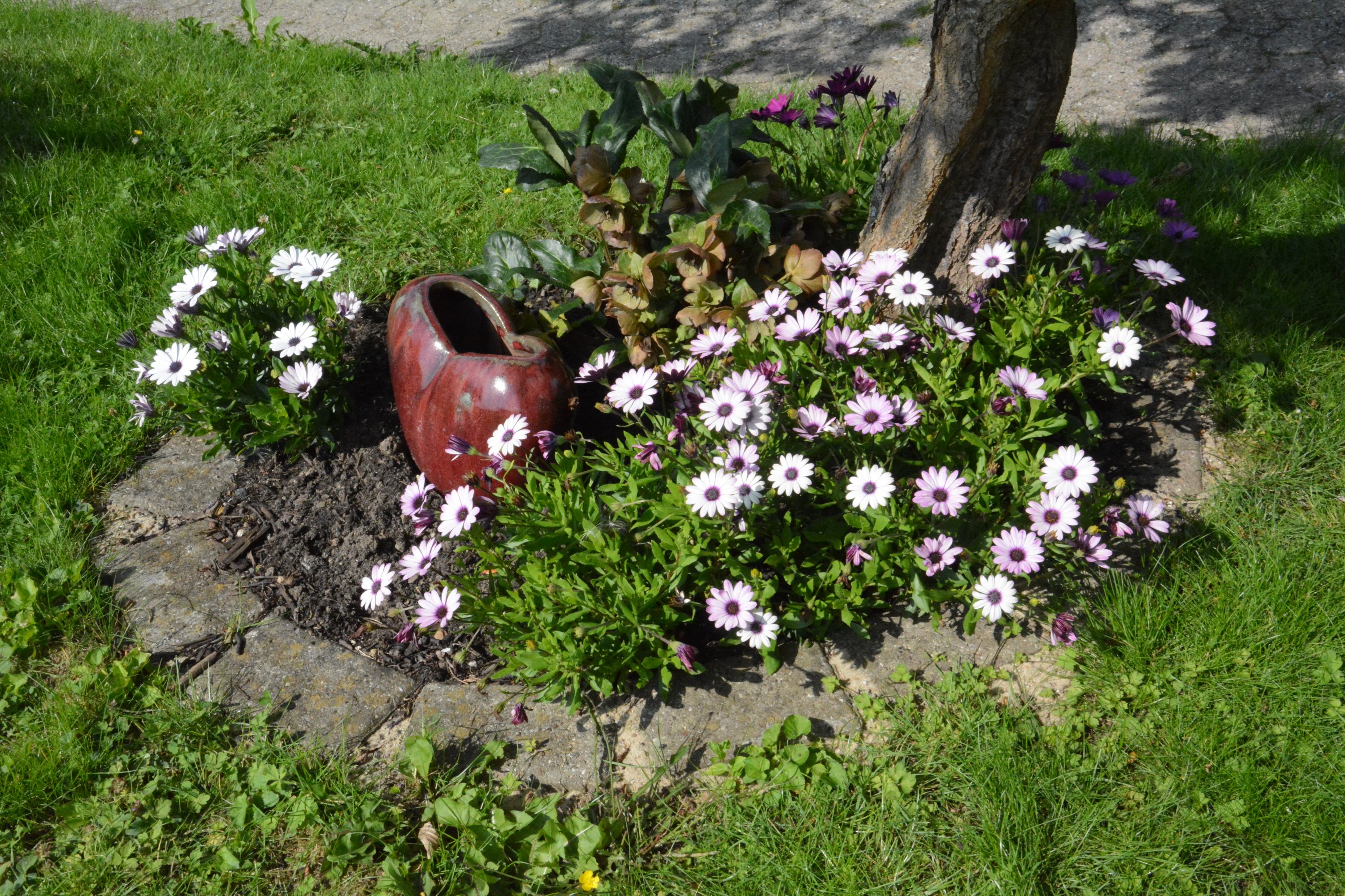 Fremhævet have billede i fuldskærmstilstand. Billede af Birkevej 7, 8783 Hornsyld