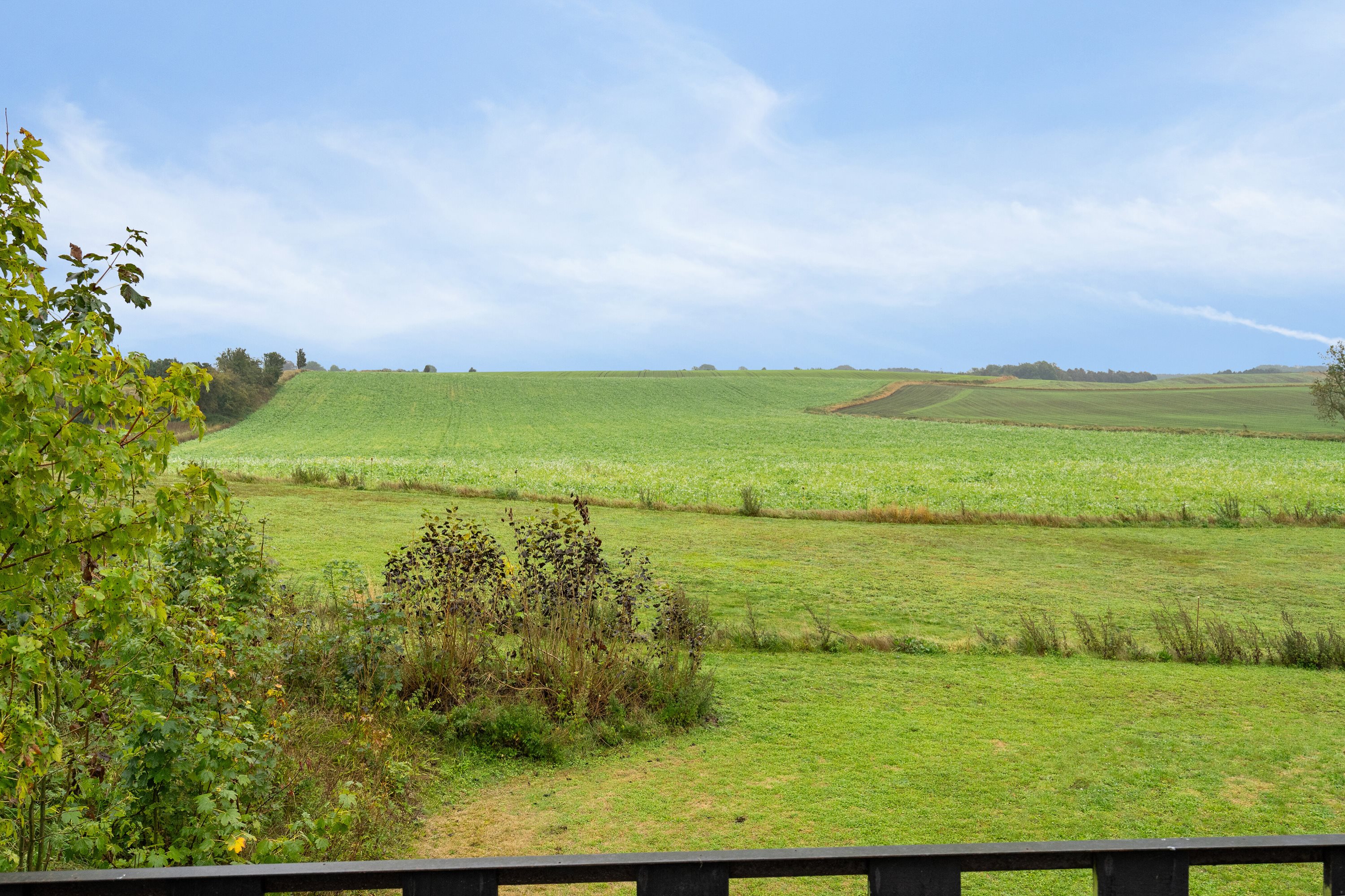 Fremhævet udendørs billede i fuldskærmstilstand. Billede af Bystævnet 14, Bederslev, 5450 Otterup