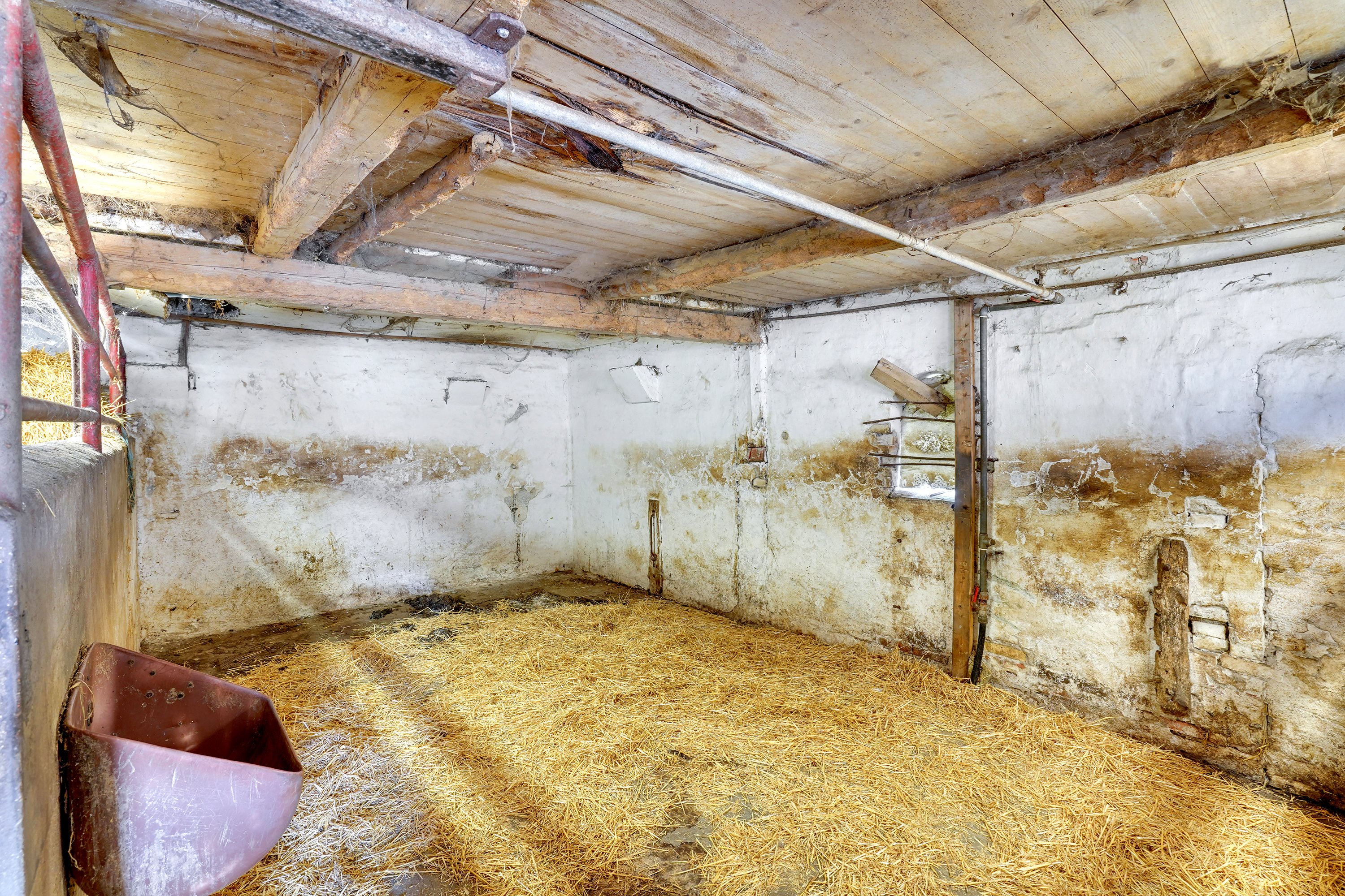 Fremhævet stald billede i fuldskærmstilstand. Billede af Vollerup Gårde 7, 4200 Slagelse