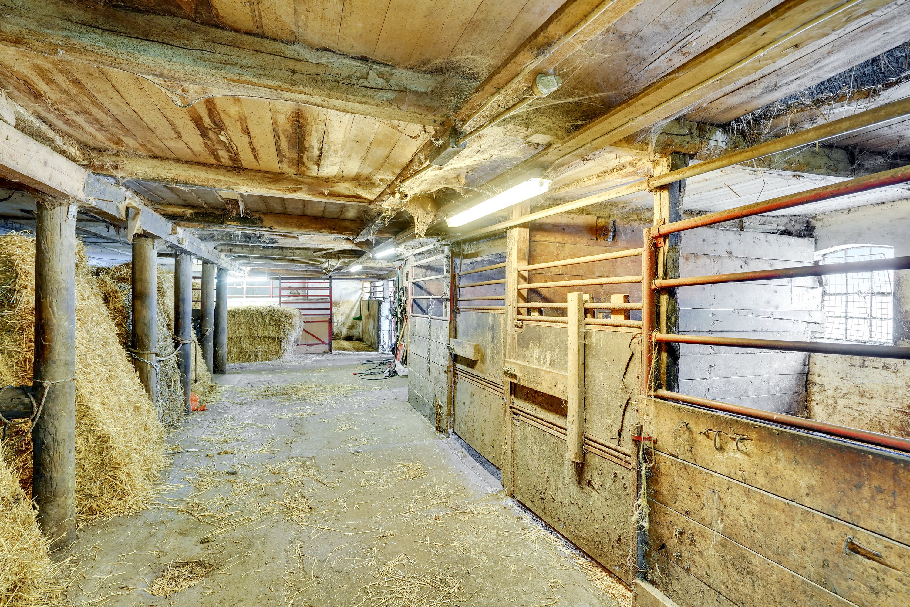 Fremhævet stald billede i fuldskærmstilstand. Billede af Vollerup Gårde 7, 4200 Slagelse